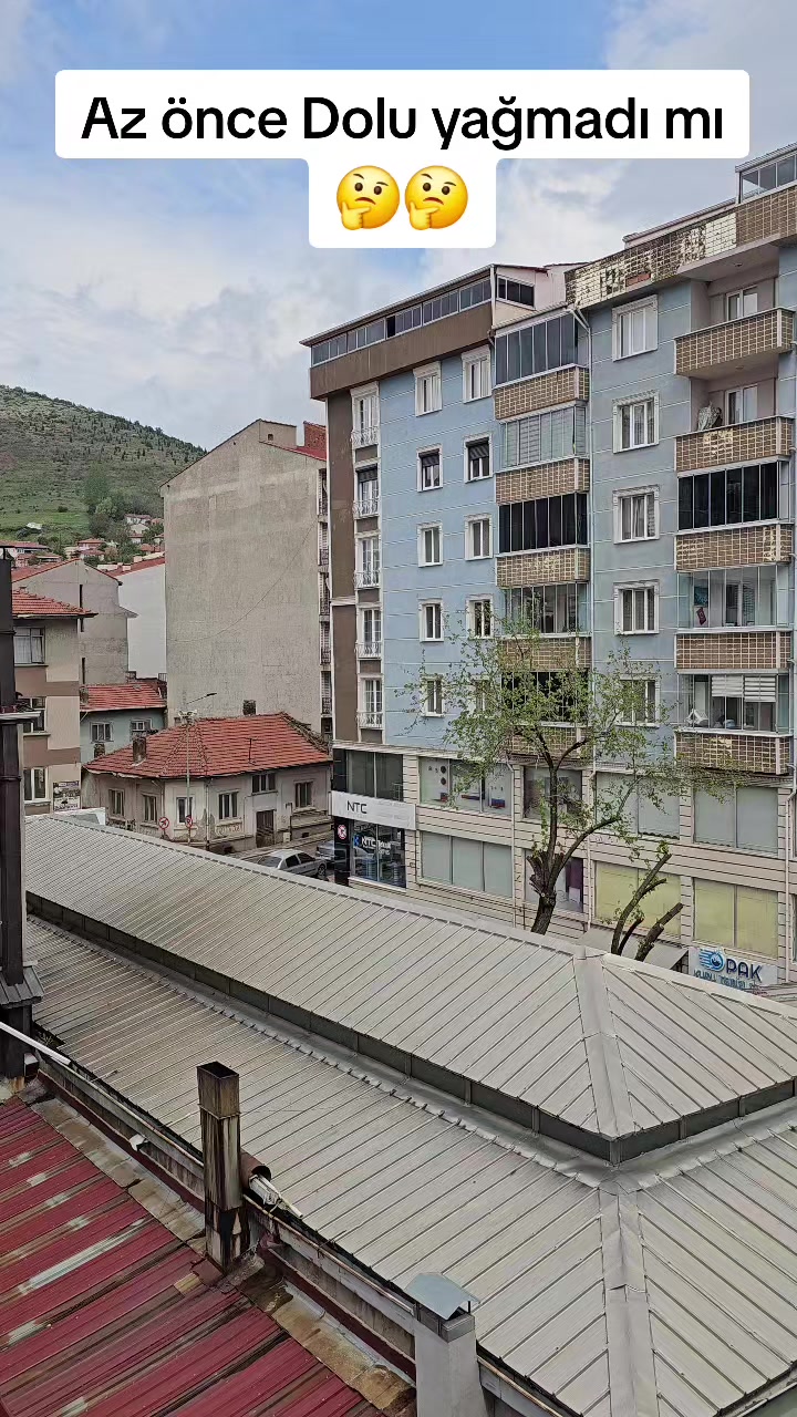 @Leyla Akkus