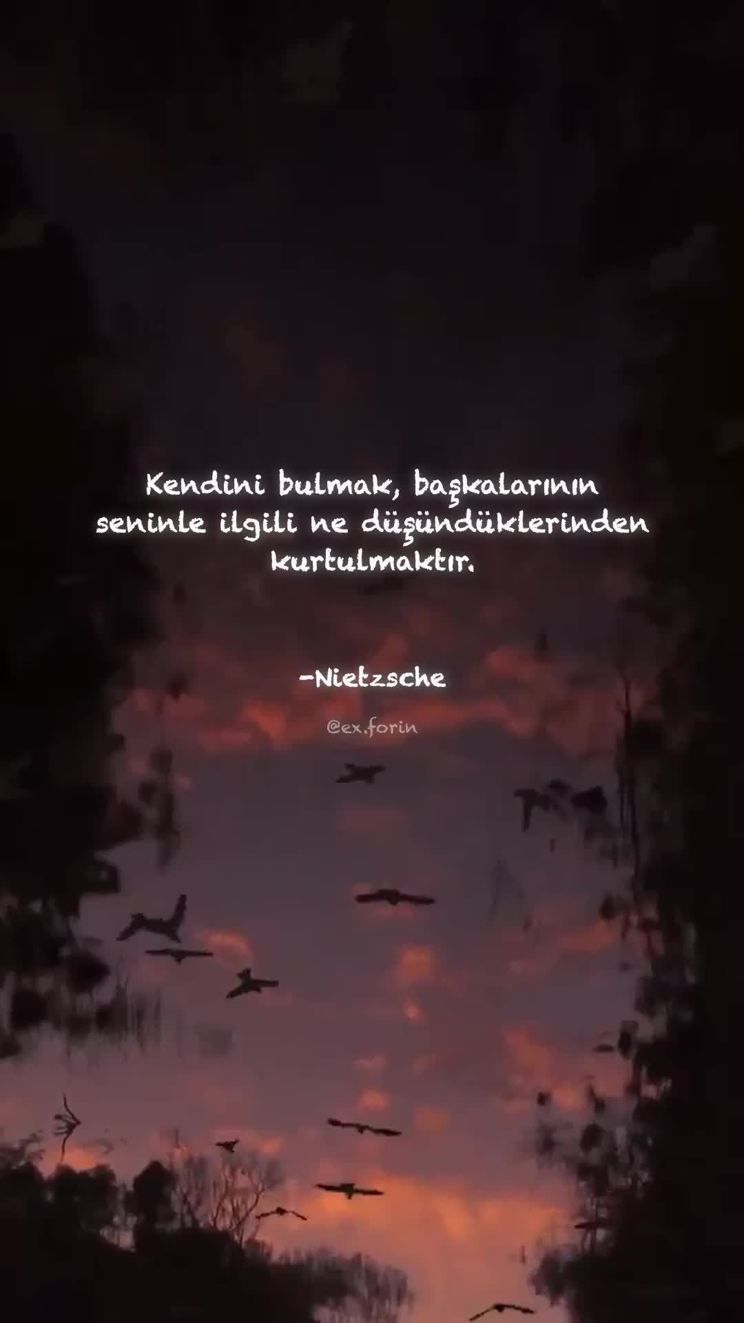 @exforin