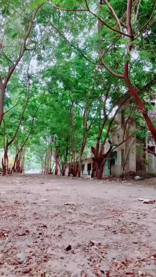 @Chandu Rock🏎️