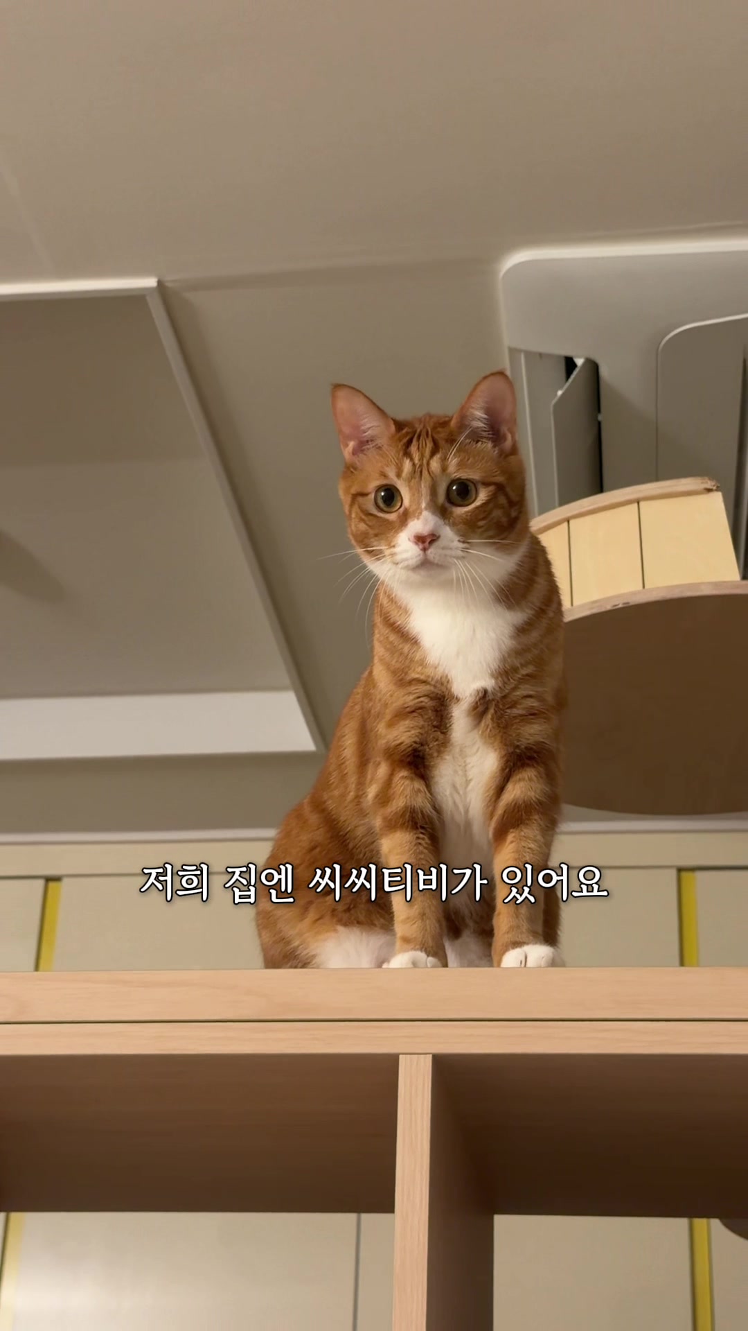 @뮤춘삼