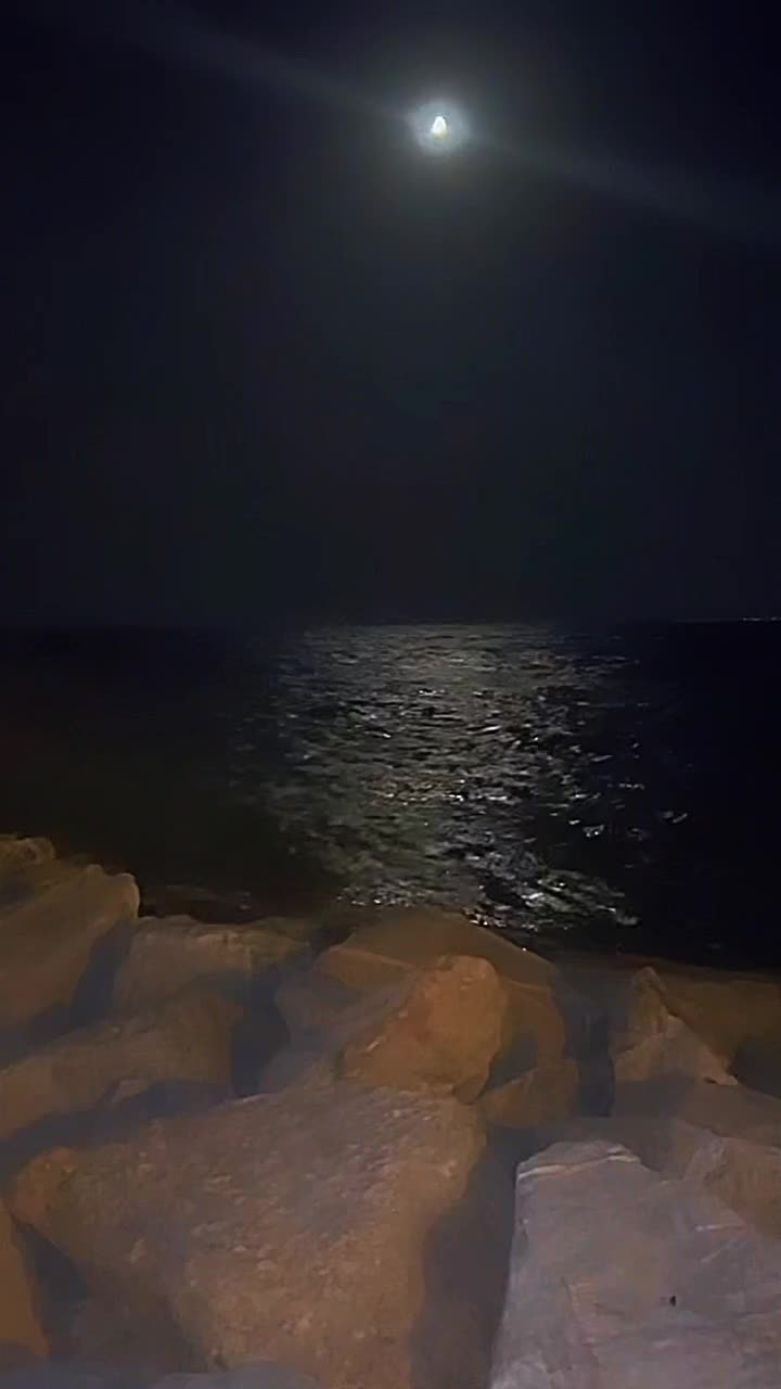 @abouhammoud117