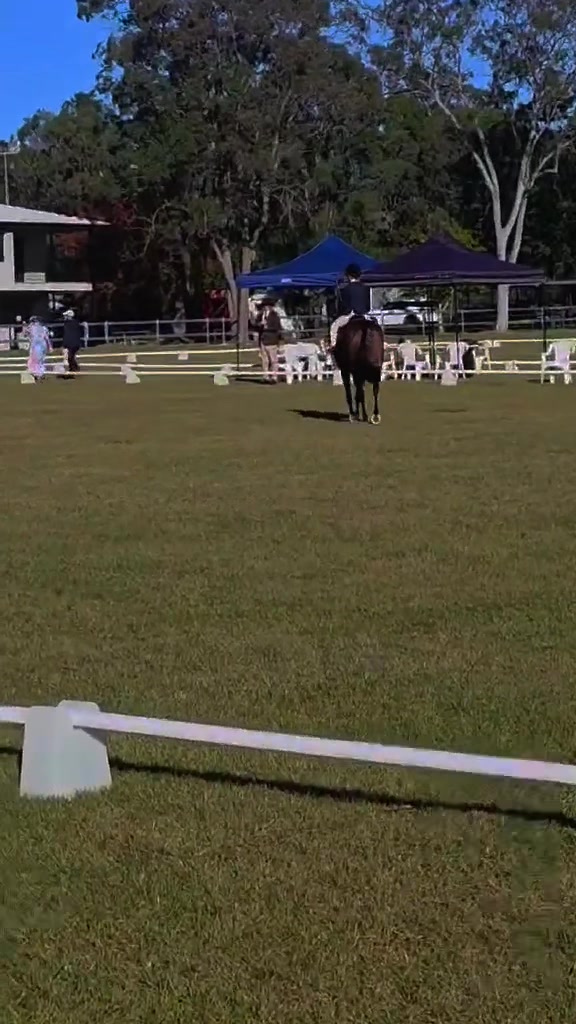 @RV Park Show Ponies