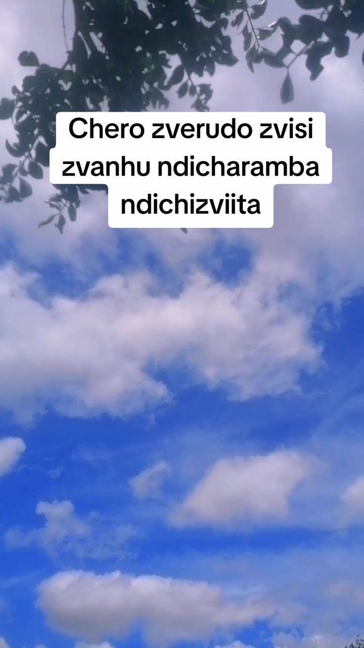 @Papa Rony 🇿🇼 🇿🇦