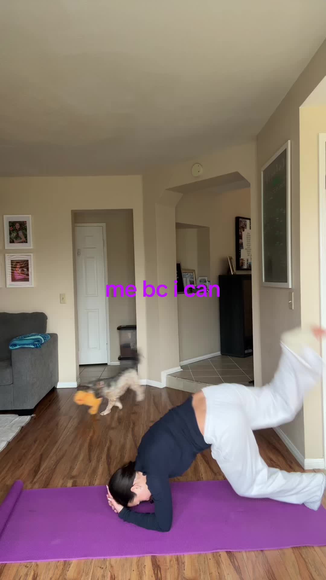 @hi