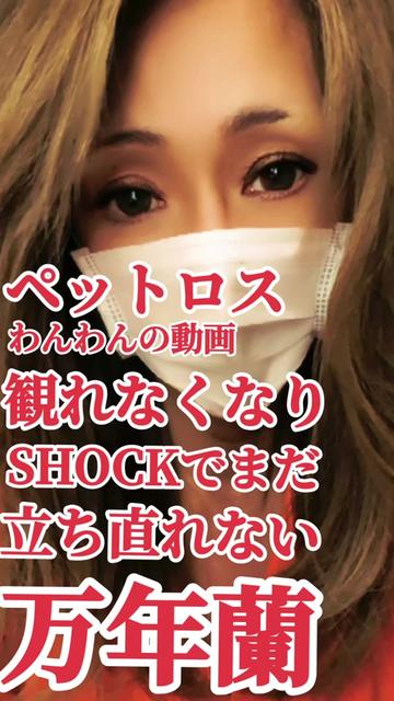 @万年 蘭