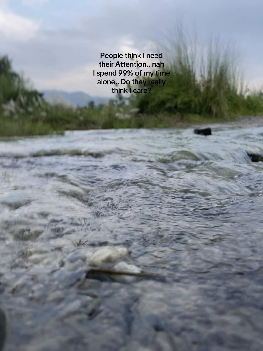 @🐼