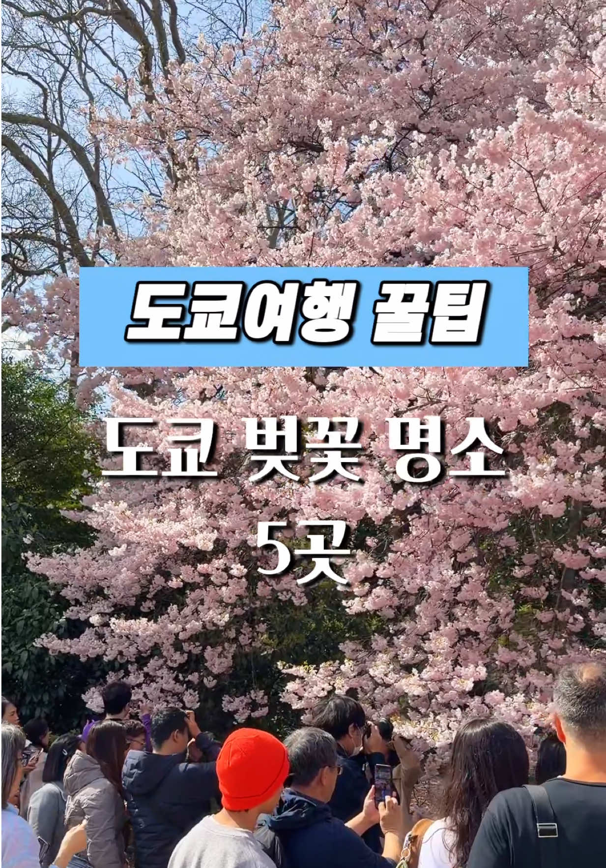 @달콤한강군