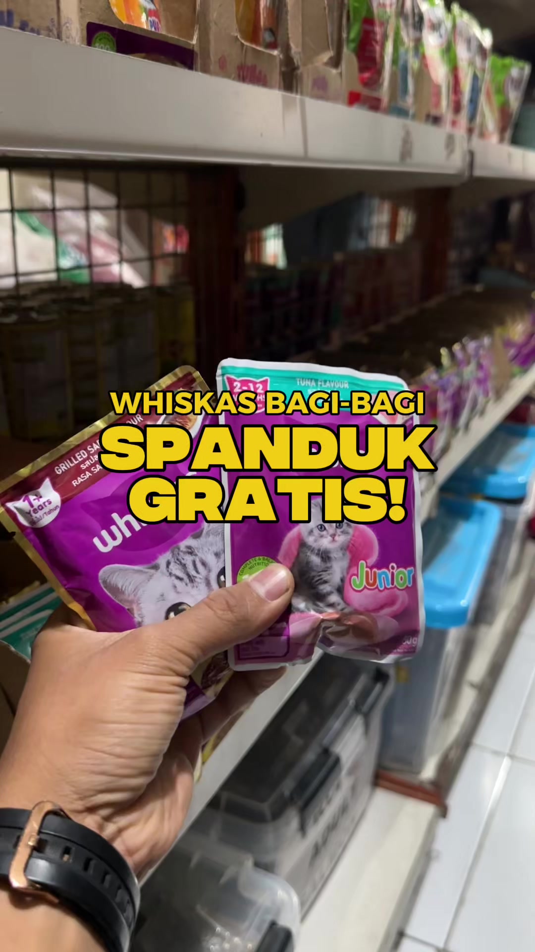 @bejo petmart