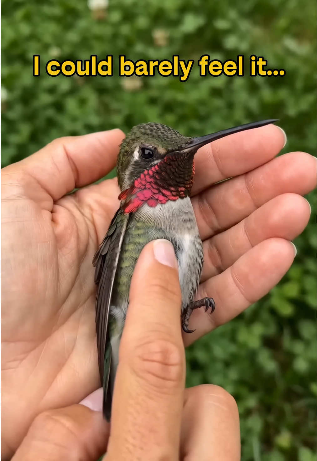 @aigeographic