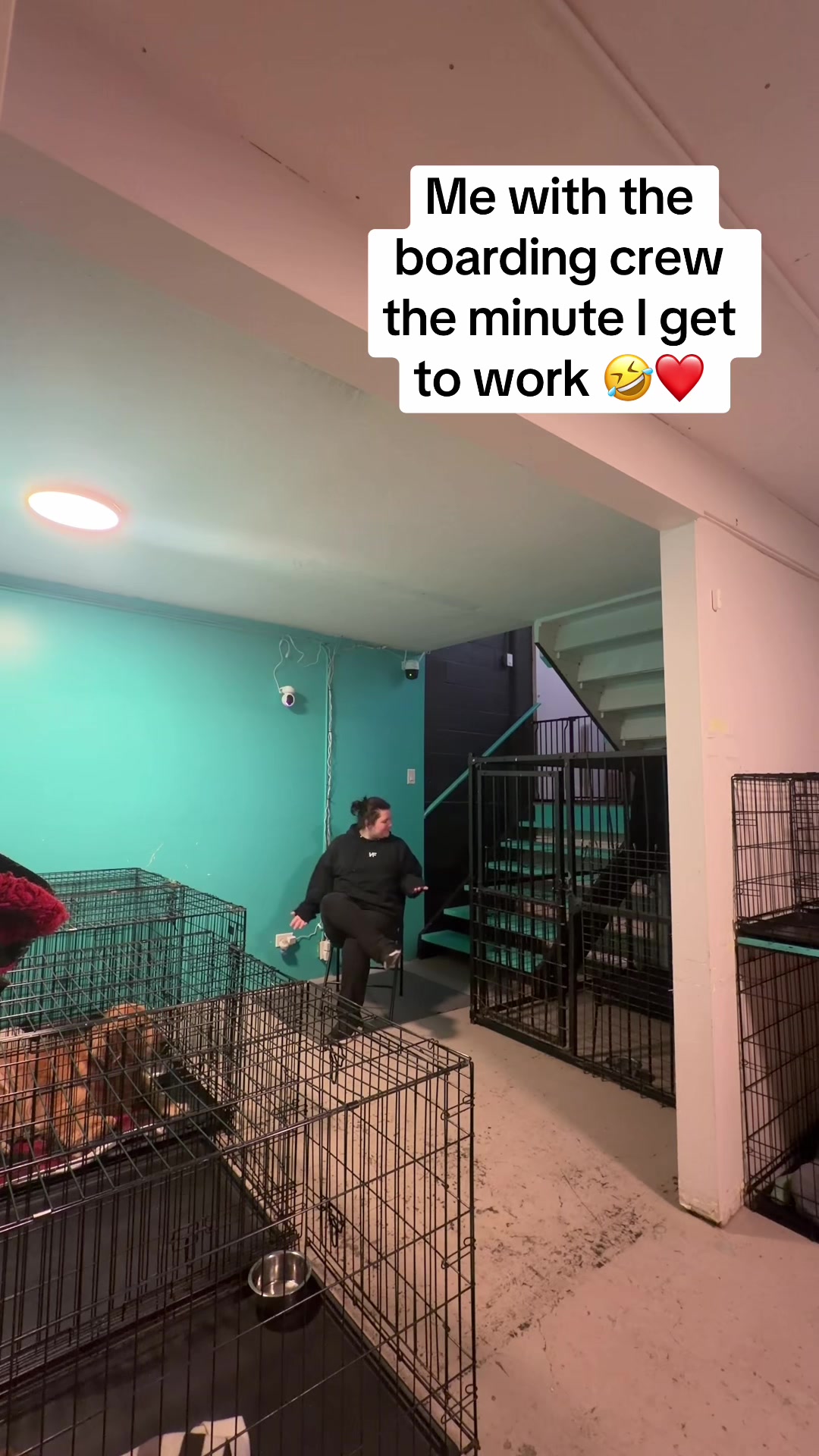 @Squish & Charlie's Dog Daycare