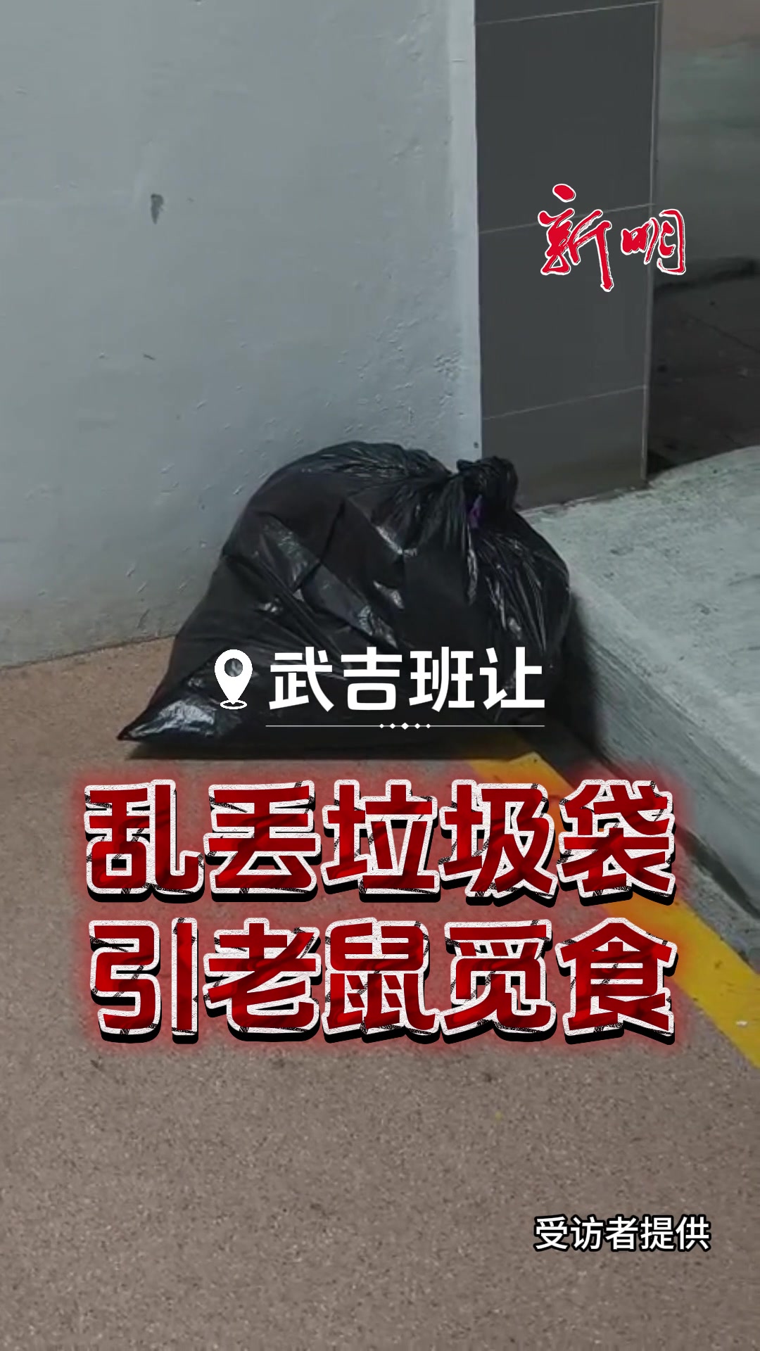 @新明日报