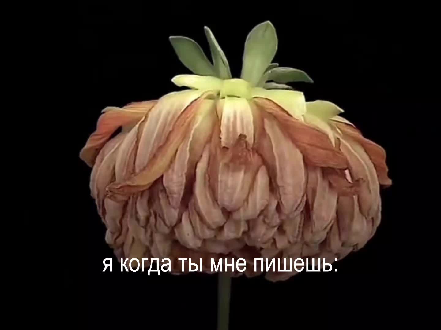 @idk