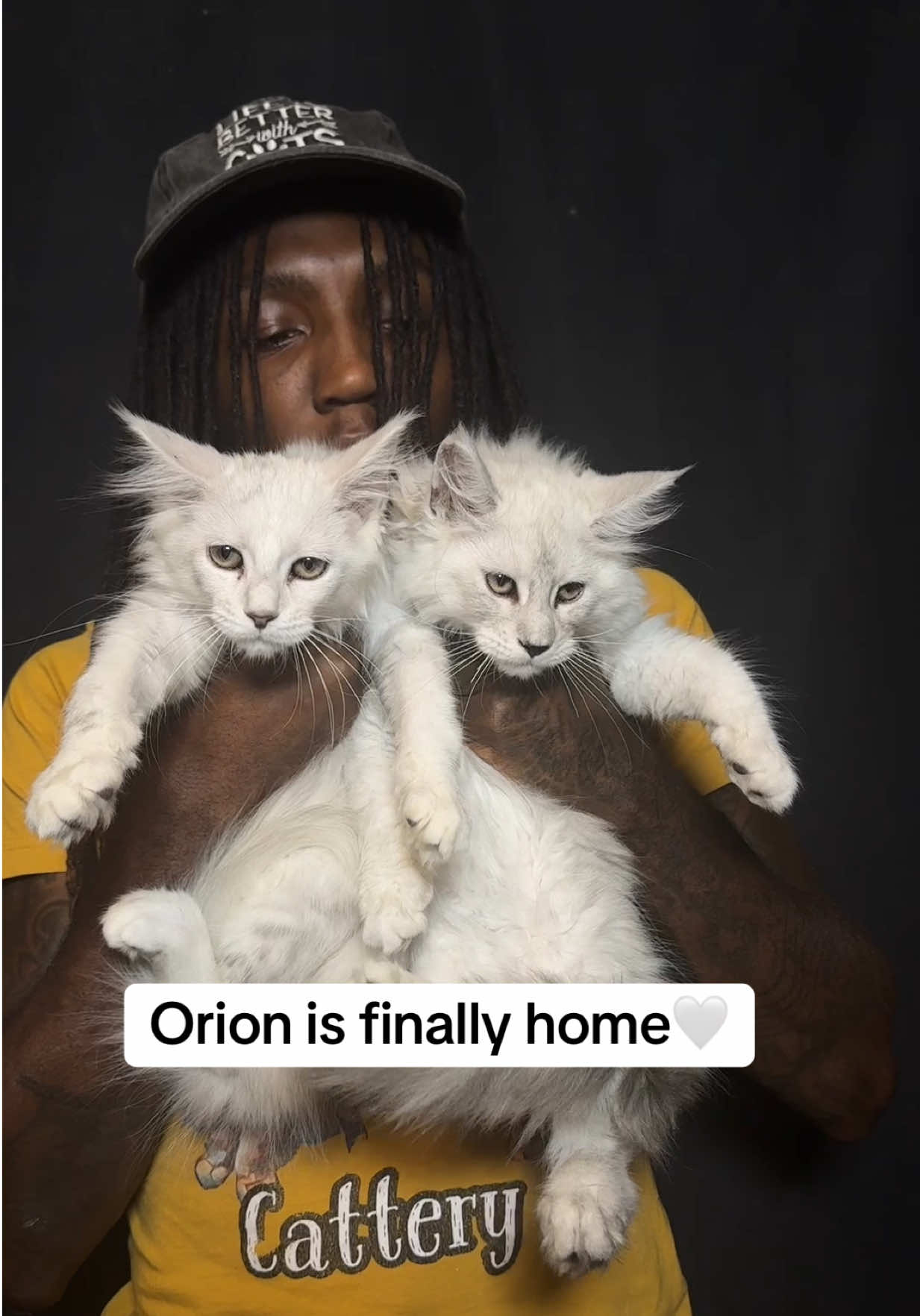 @Tycoon_Mainecoons