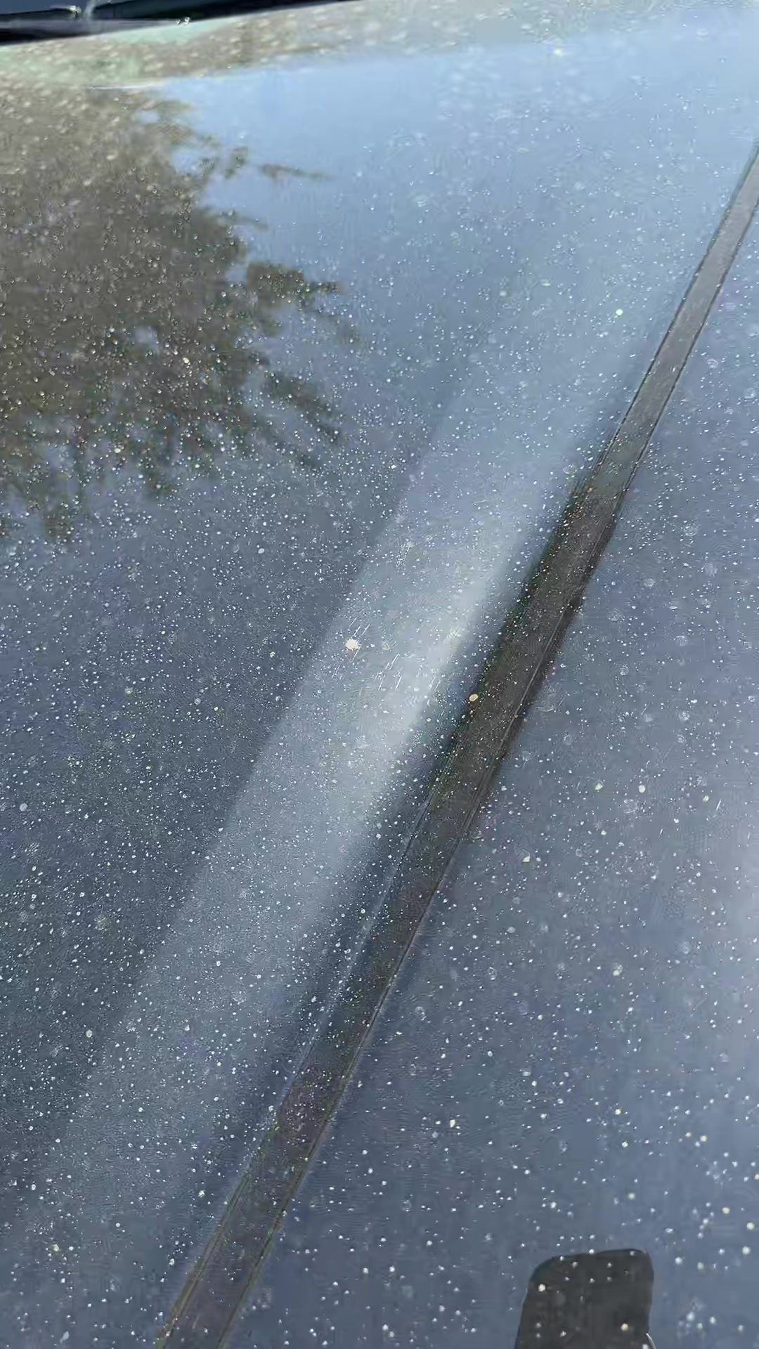 @SR Elite Detailing