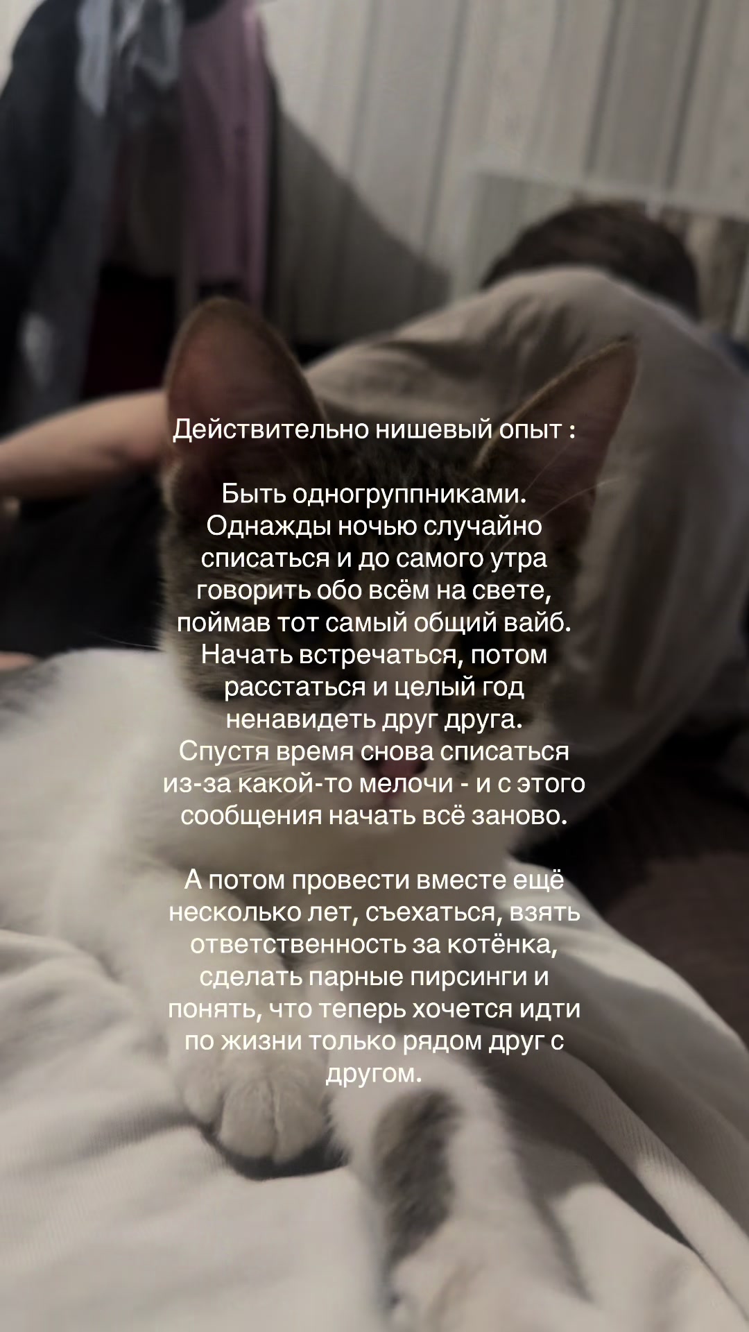 @Свэни