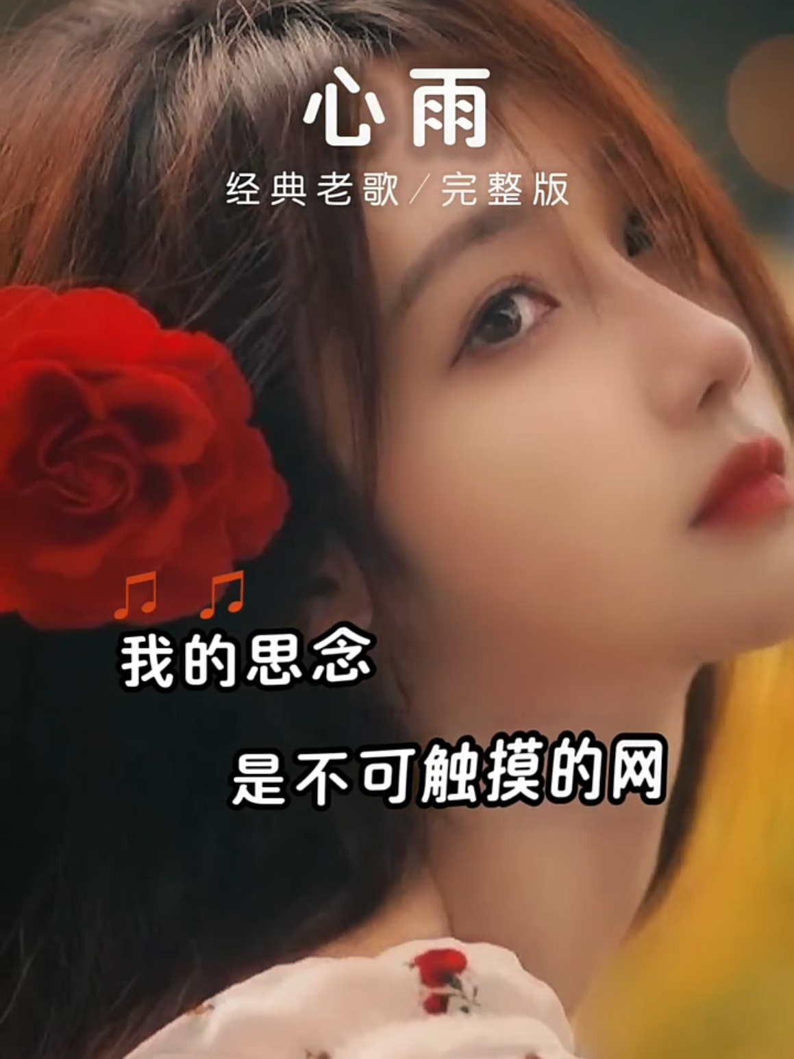 @美丽的世界