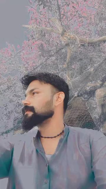 @saqib ali 123