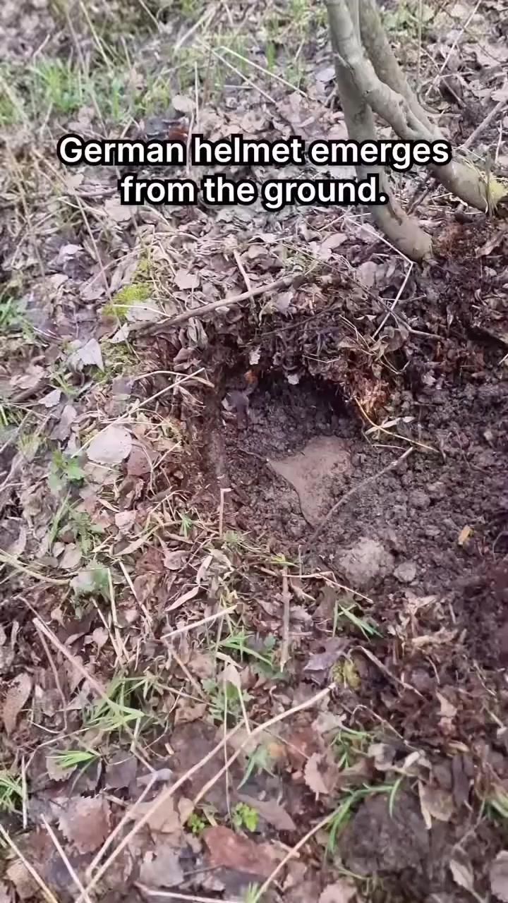 @Archaeologist 11