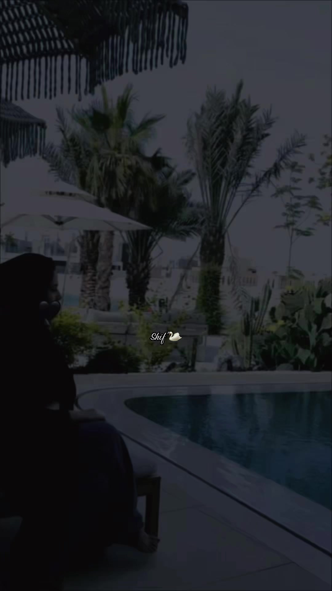 @𝐒𝐡ⁱ𝐅𝐚༺🦢