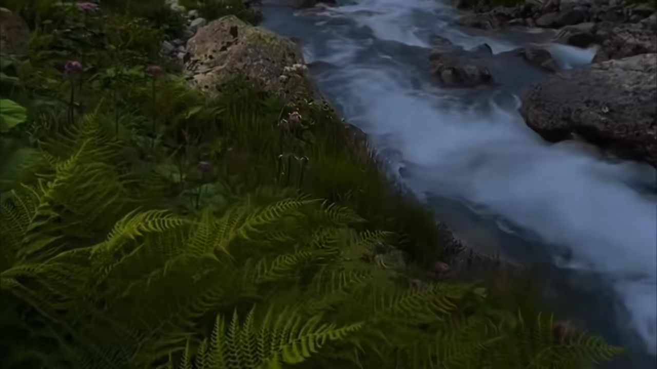@AAMIR