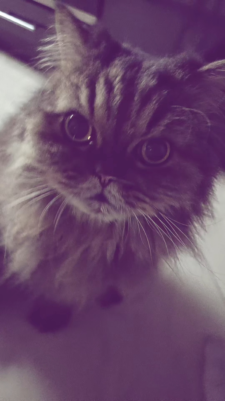 @𝗴𝗮𝗱𝗼𝗽𝘆𝗮𝘁
