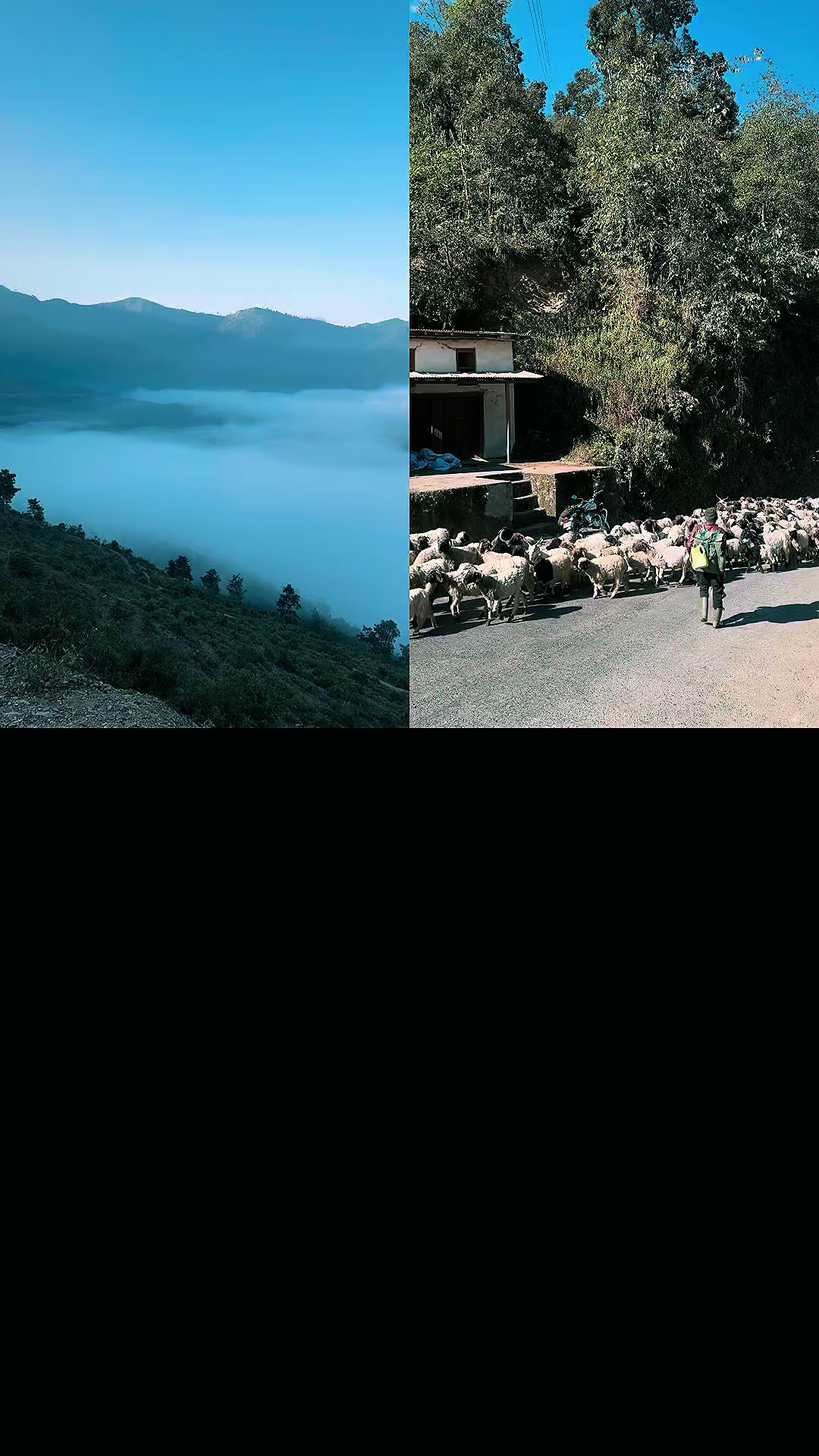 @☮️