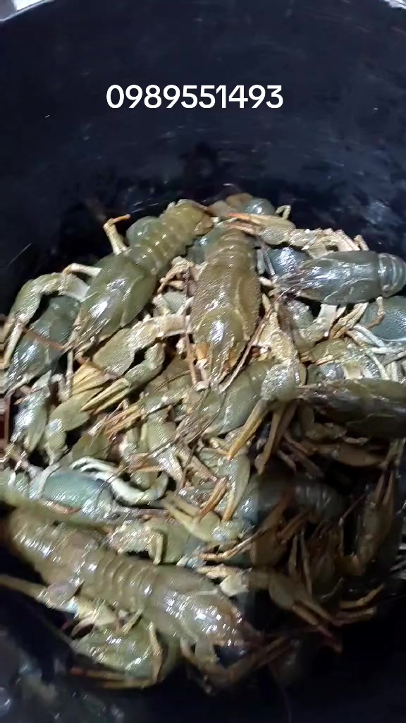 @Раки Умань