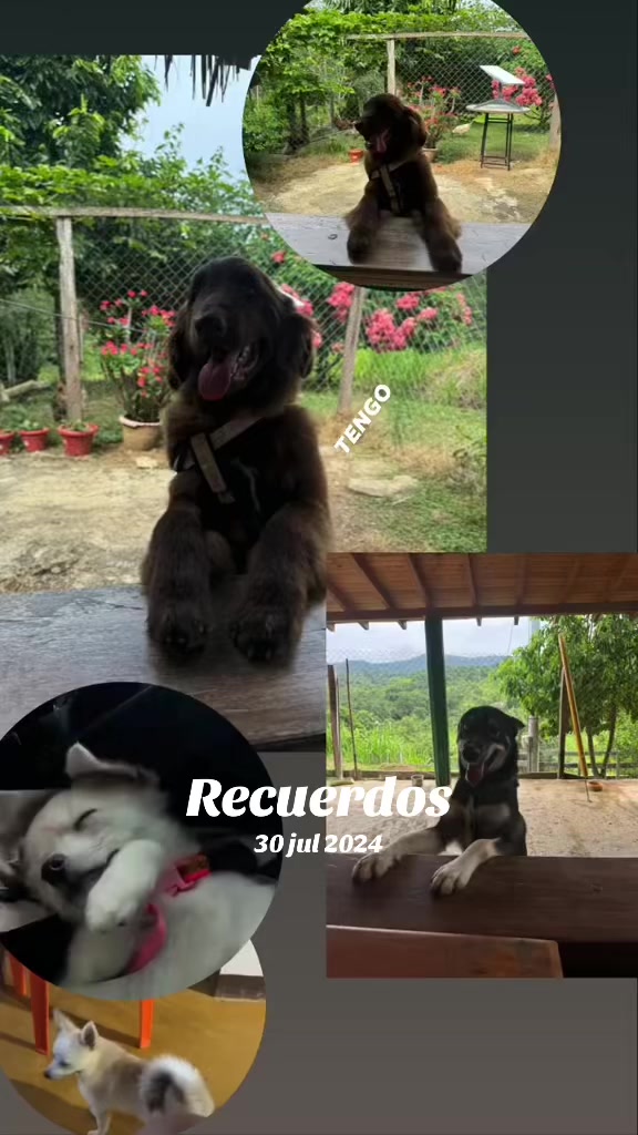 @claudiarojas140