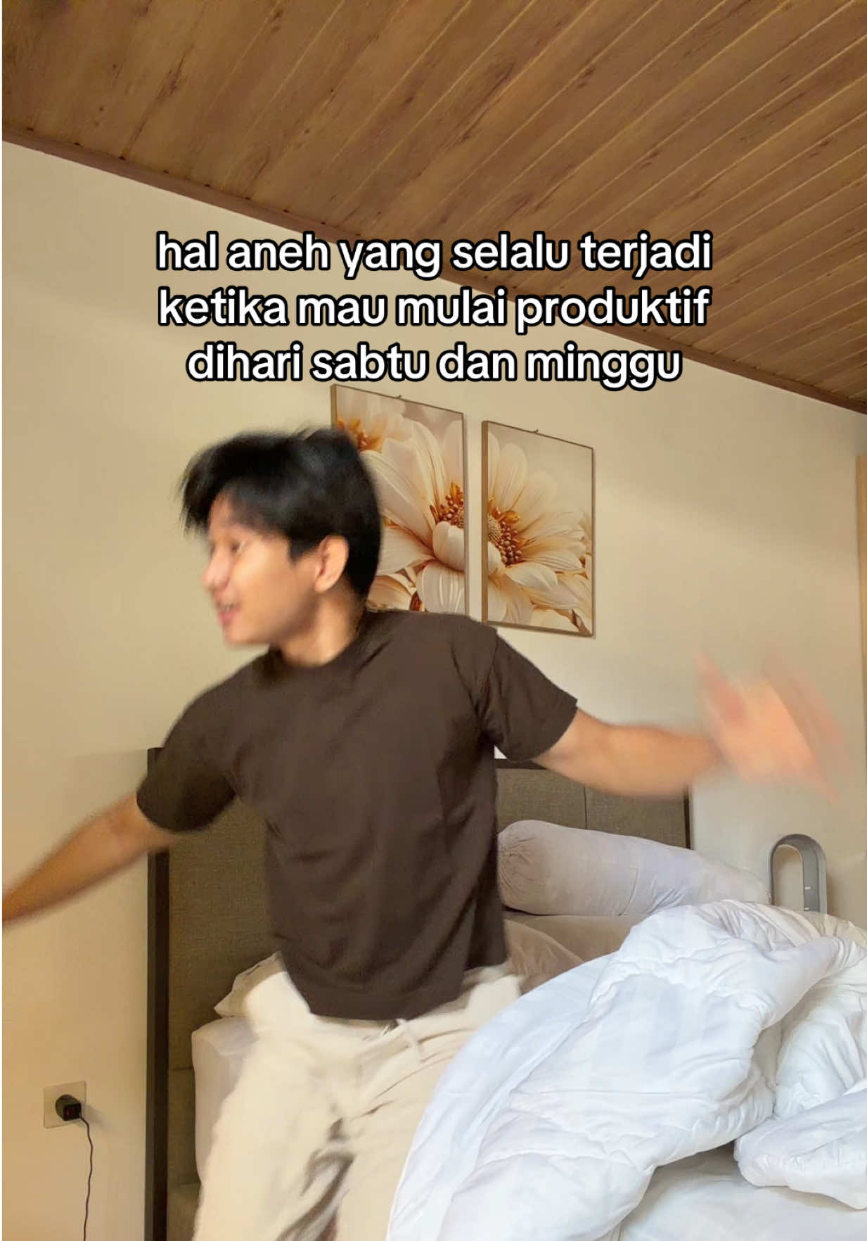 @ferdii