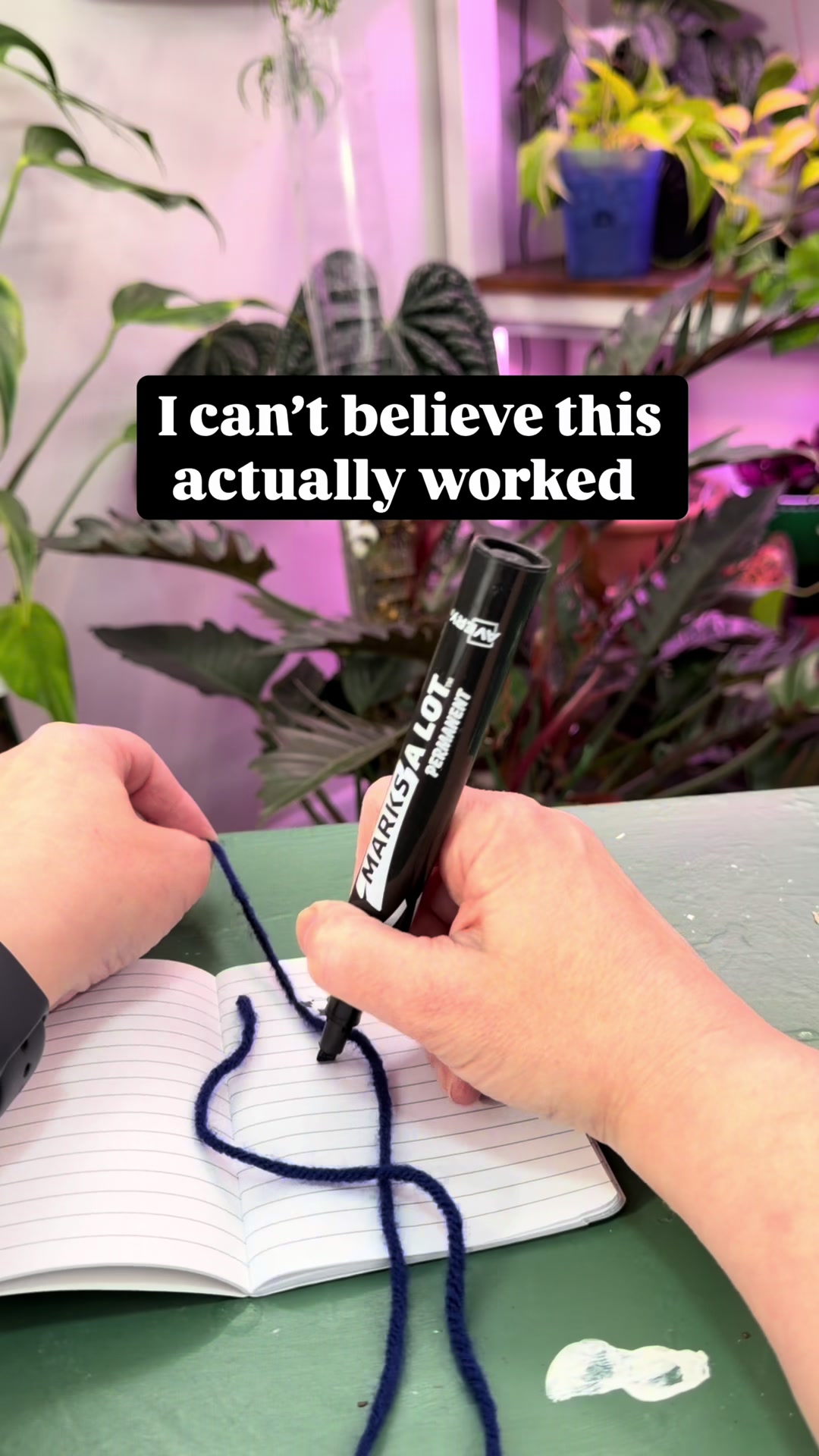 @Pothosiblyaboutplants