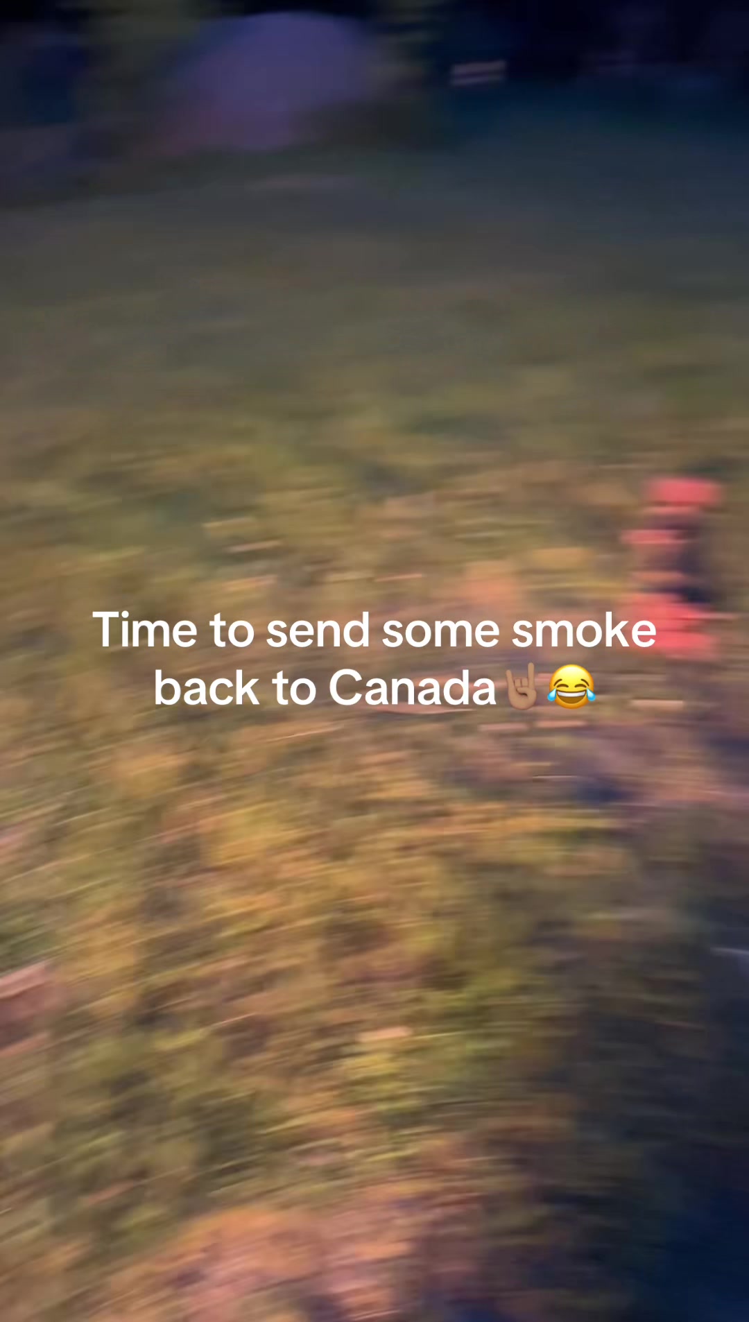 @Arcticcatmatt