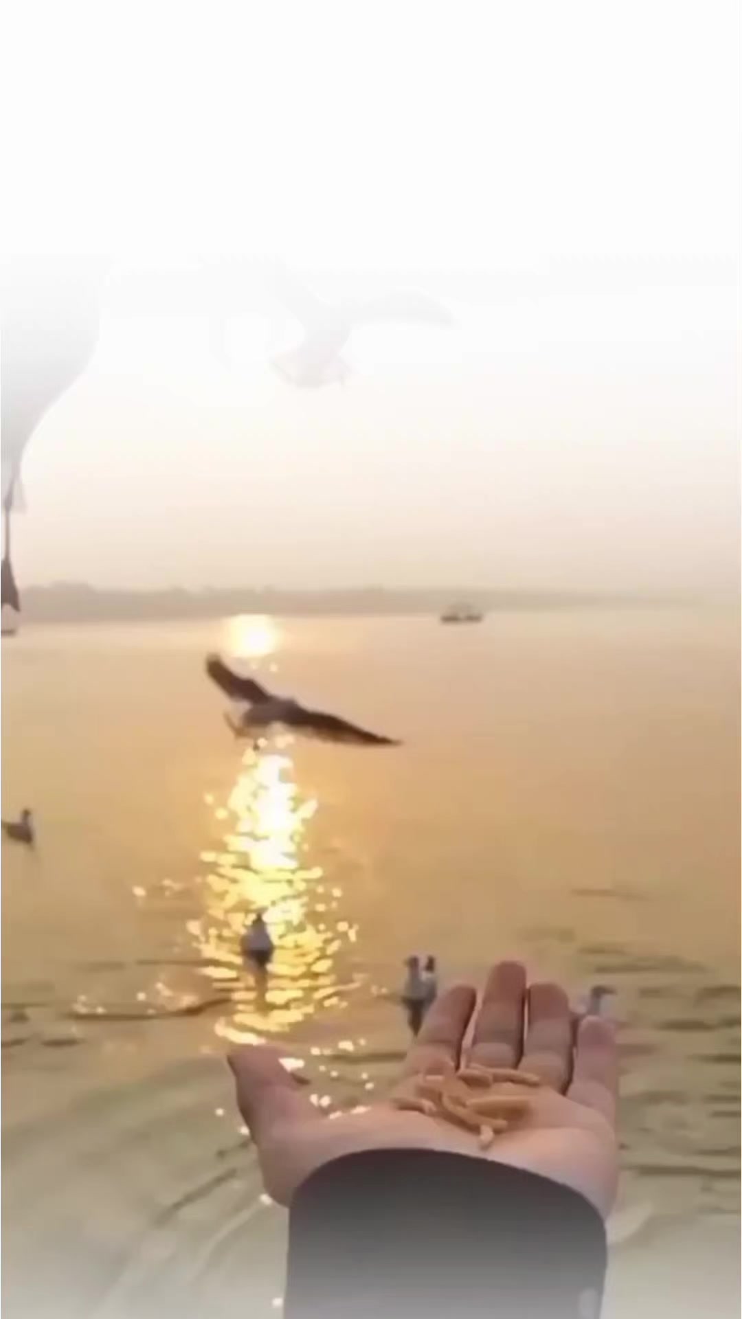 @تنہائی پسند🥂