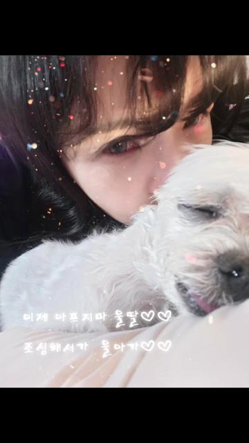 @아콩맘♡