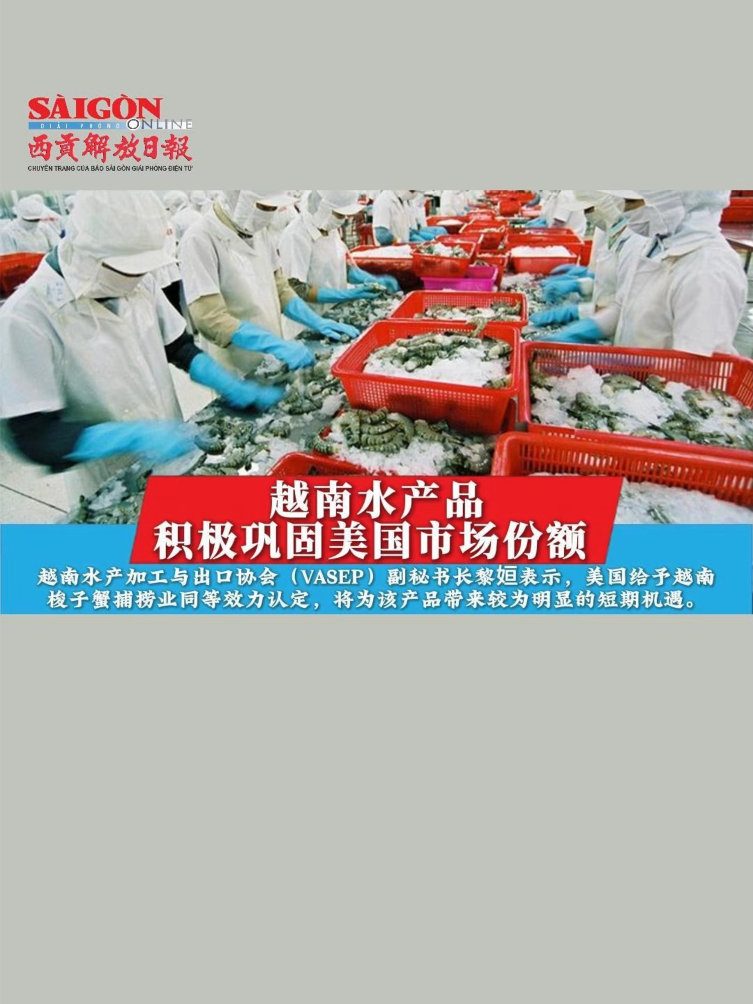 @西贡解放日报-B&aacute;o SGGP bản Hoa văn