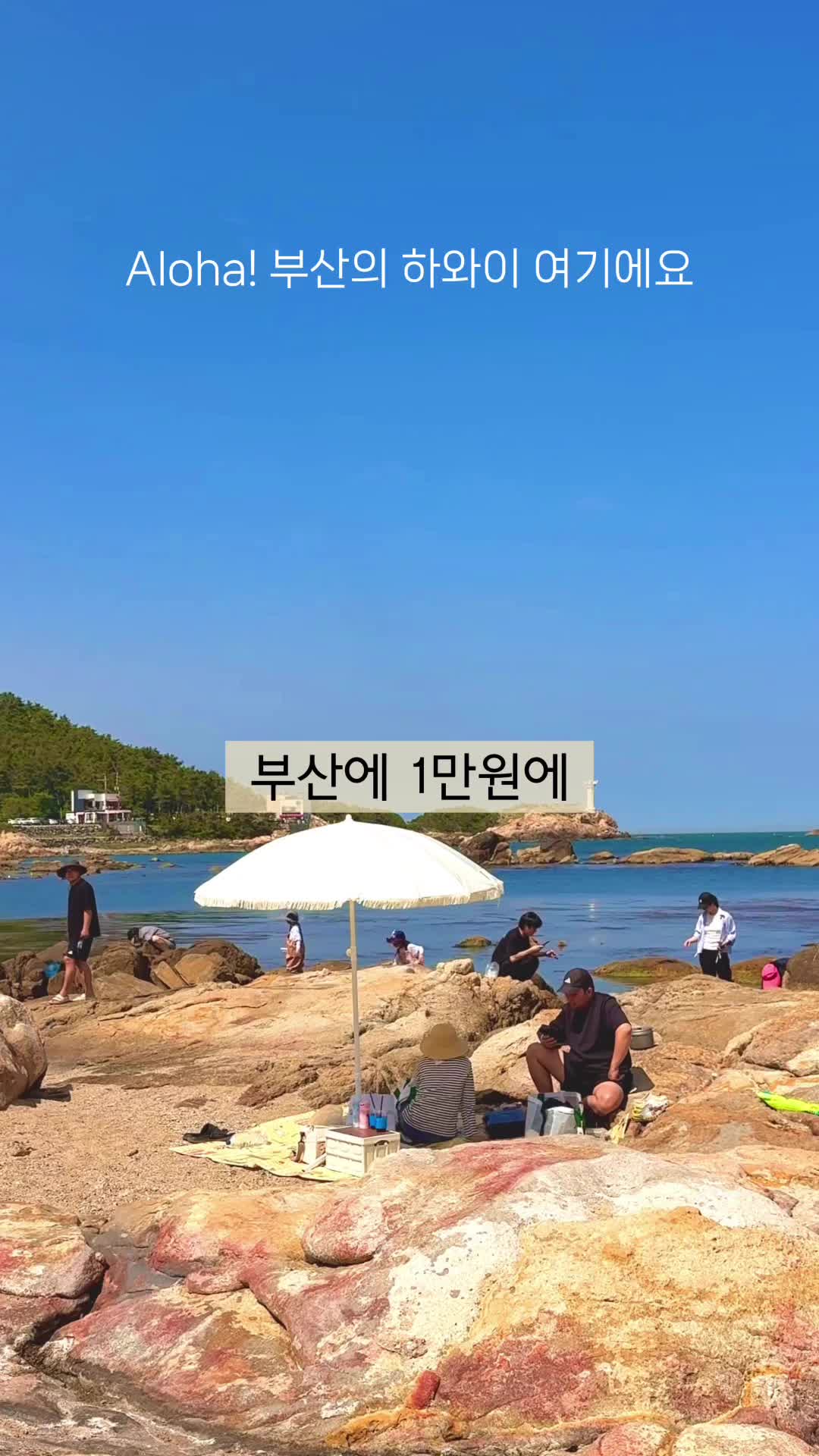 @지혜둥이 (부산맛집 부산핫플 부산여행)