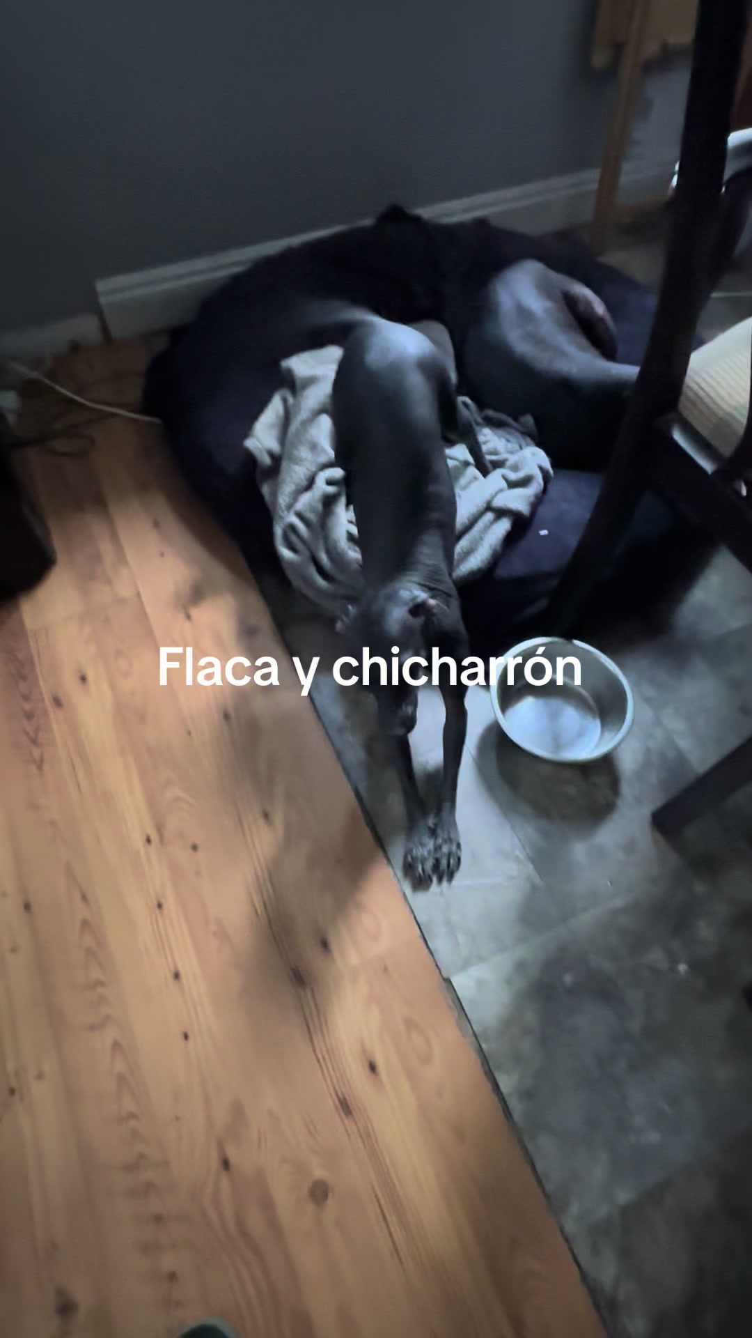 @Elcharitoopemex