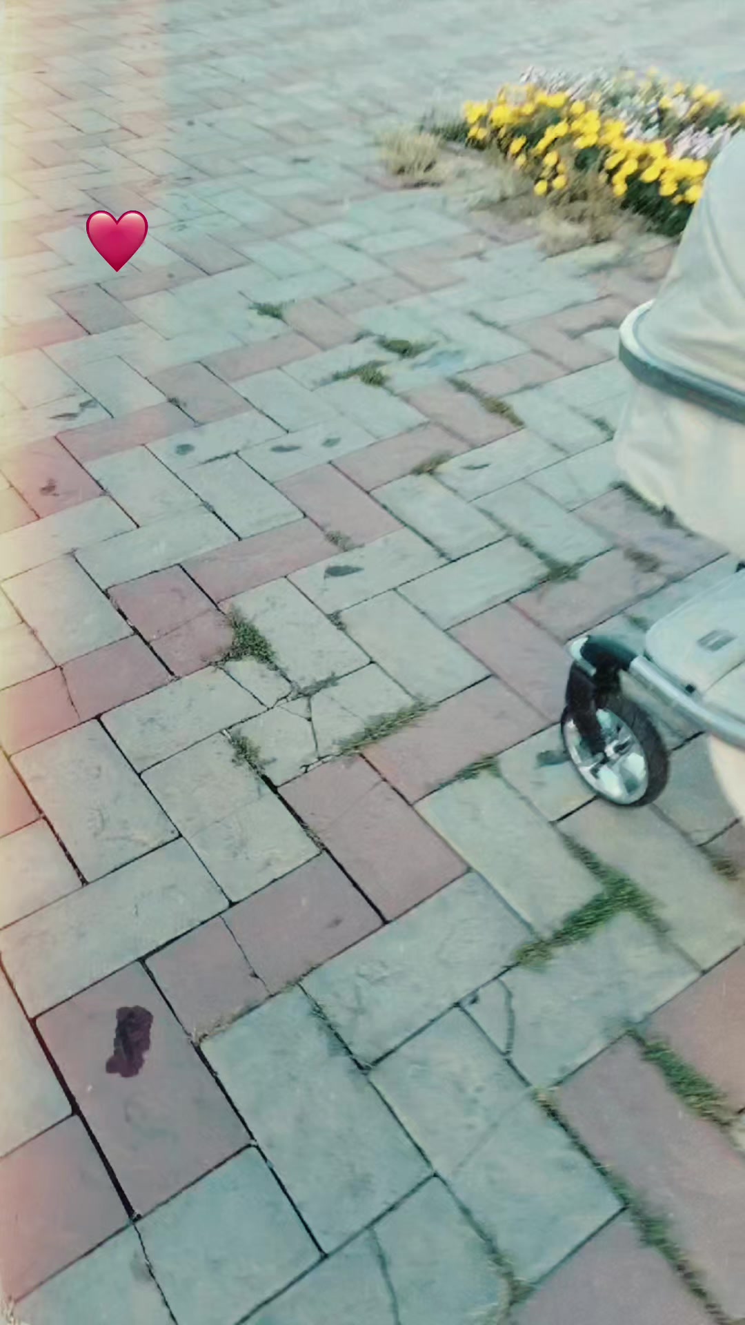 @Пандочка🐼💕