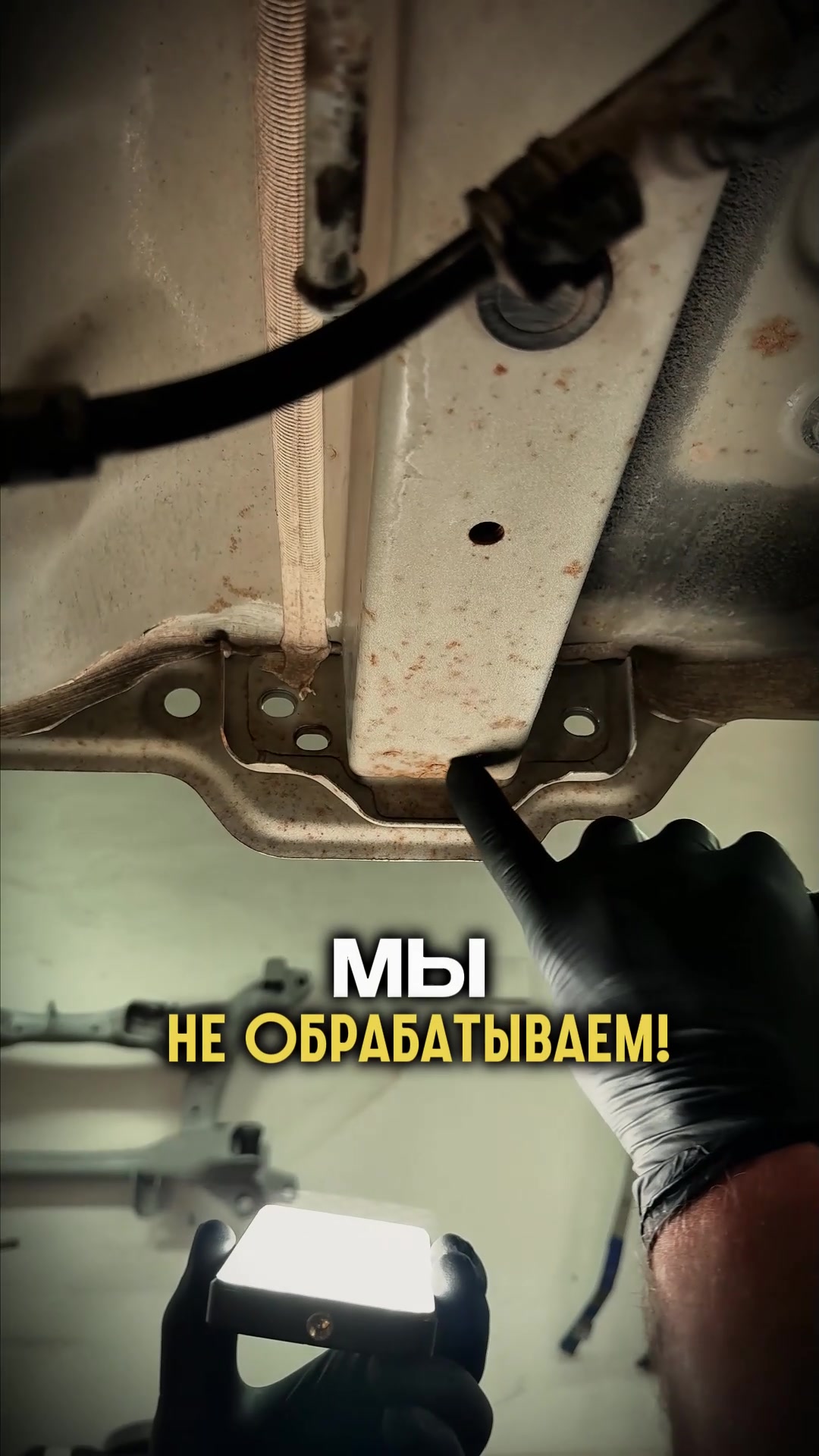 @Сэйвгарант