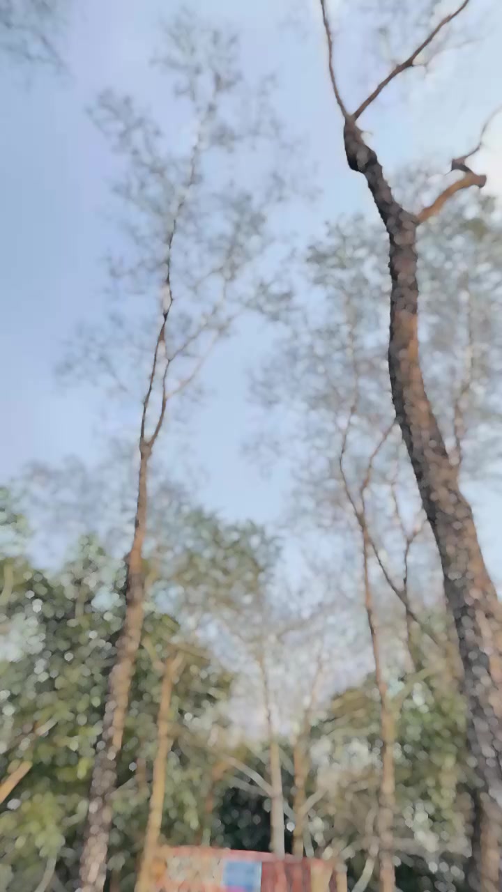 @Gita Dhami