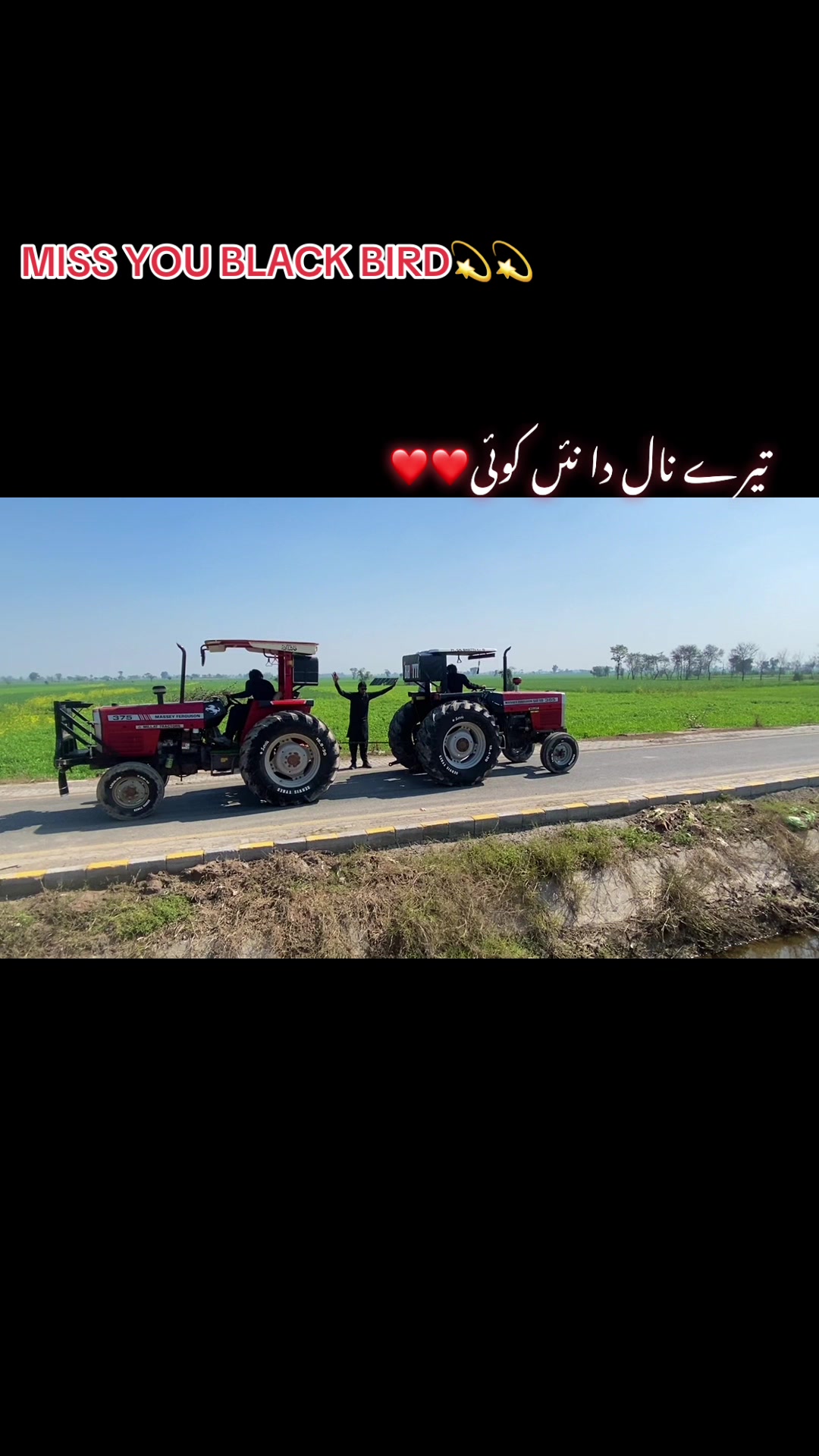 @Moonbhatti47