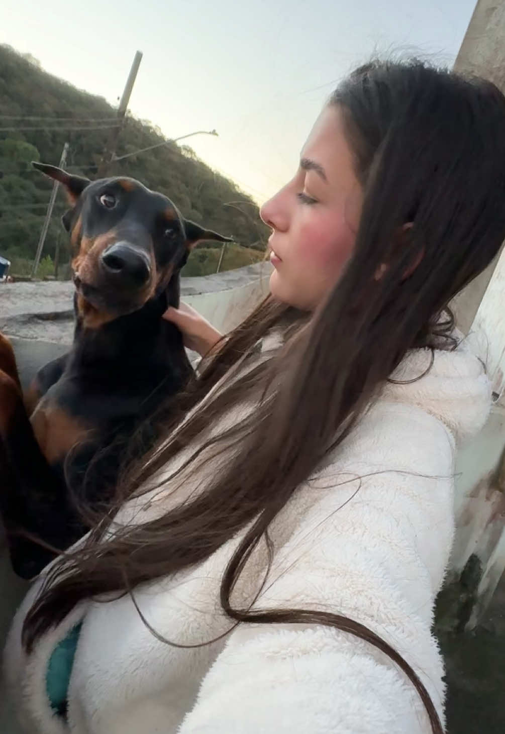 @Ravena e Venom, os Dobermans