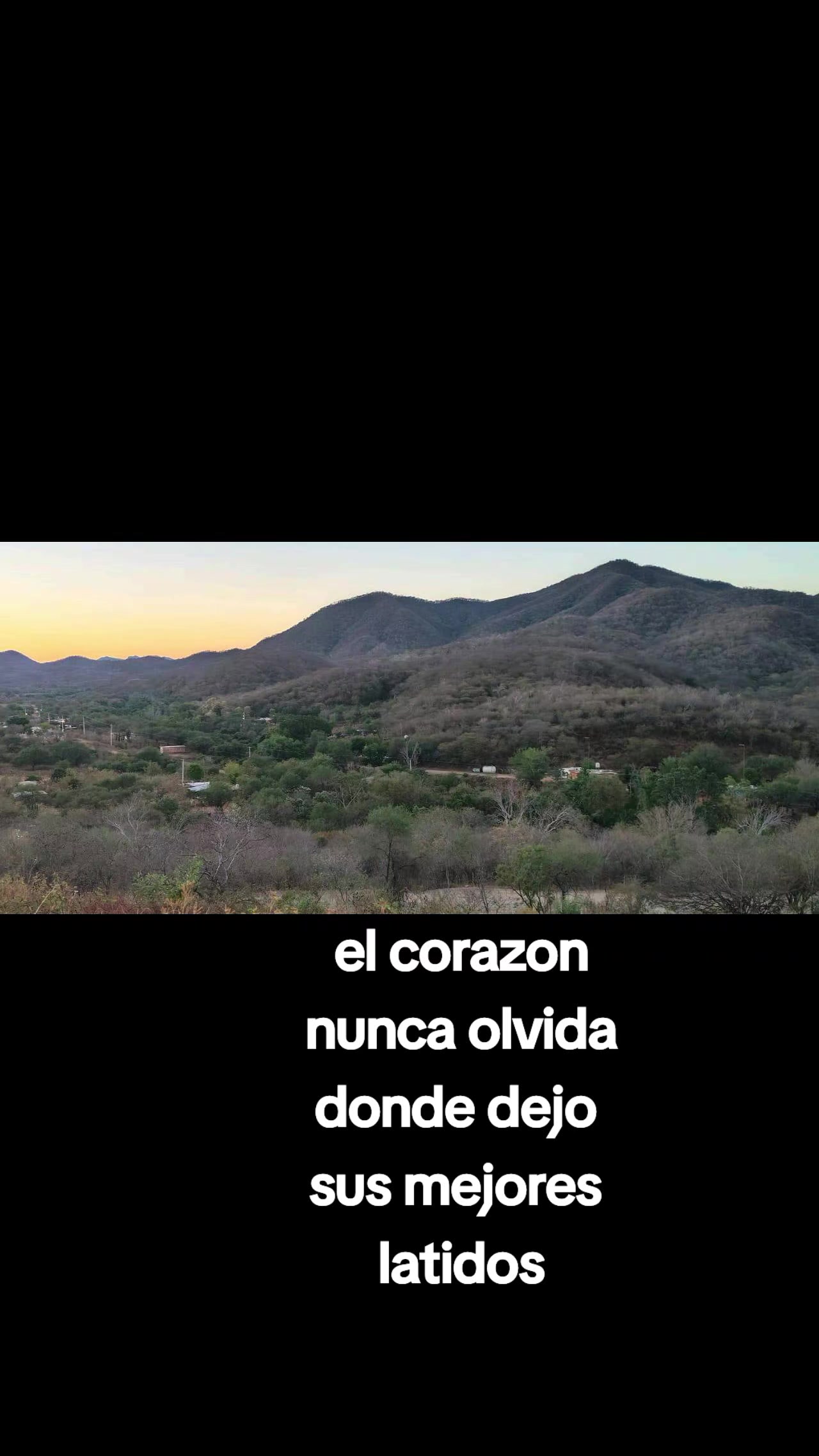 @Ranchero100%