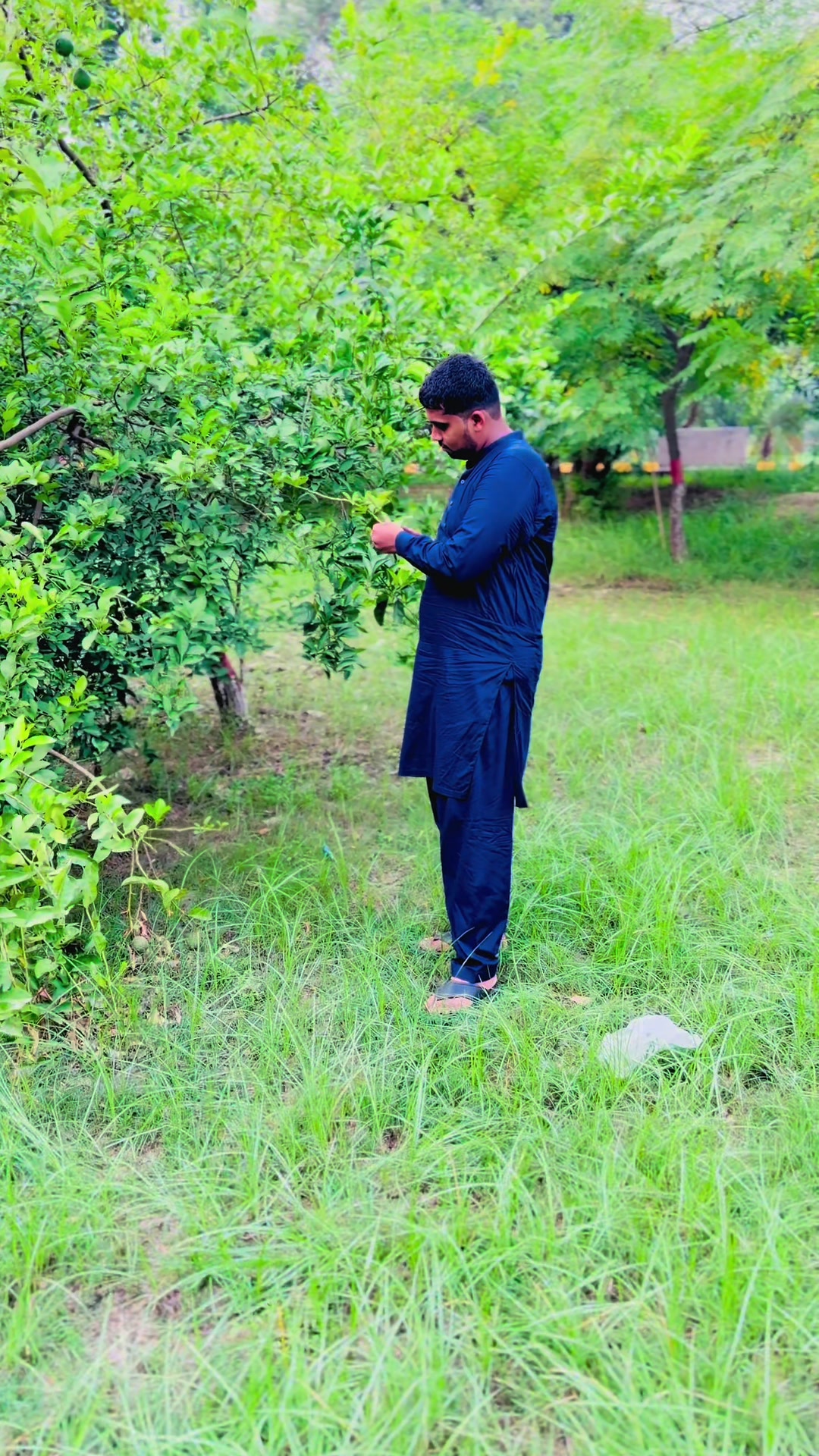 @Ch Ali Hassan Goraya👑