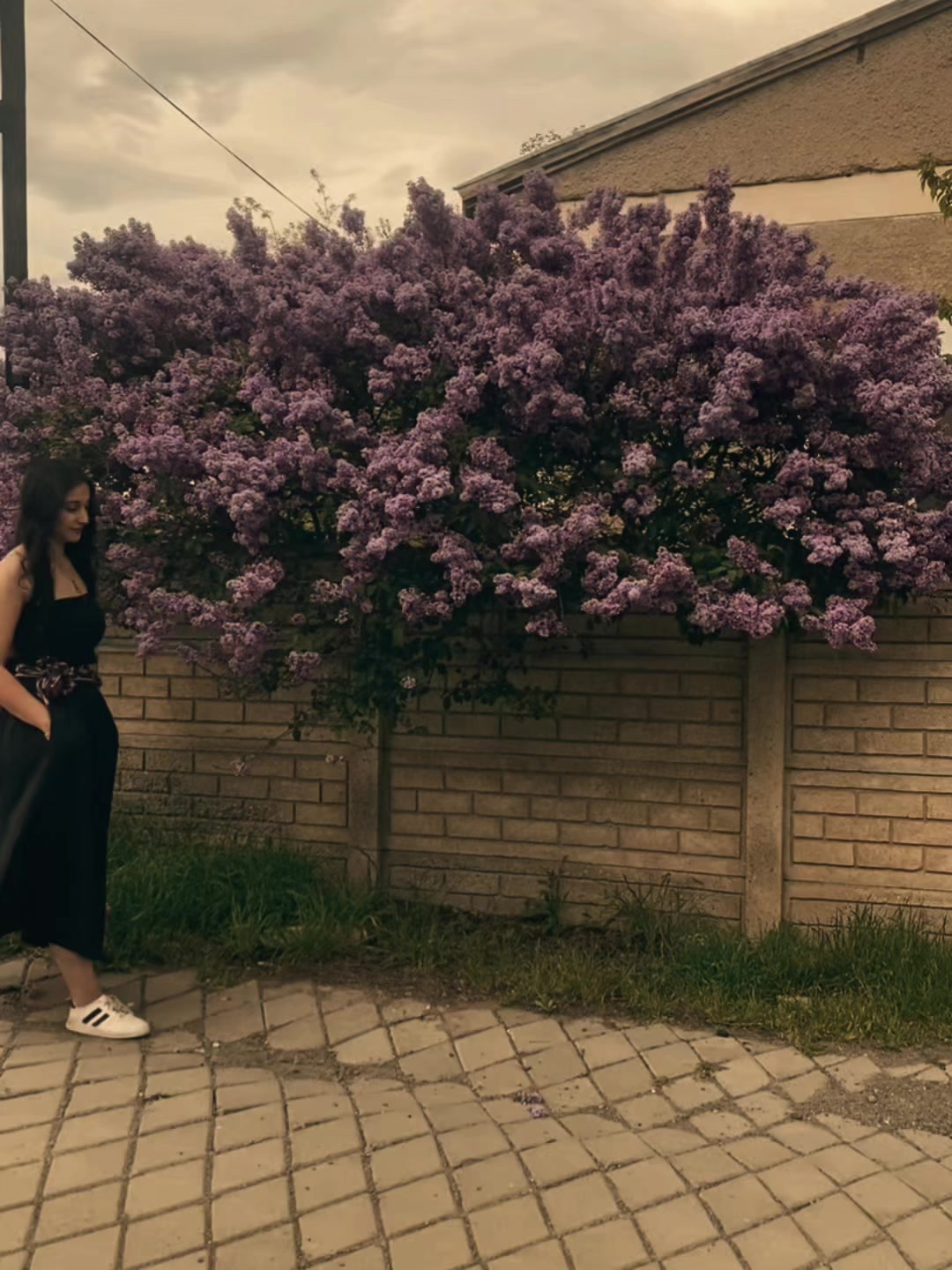 @𝐒𝐄𝐌𝐀