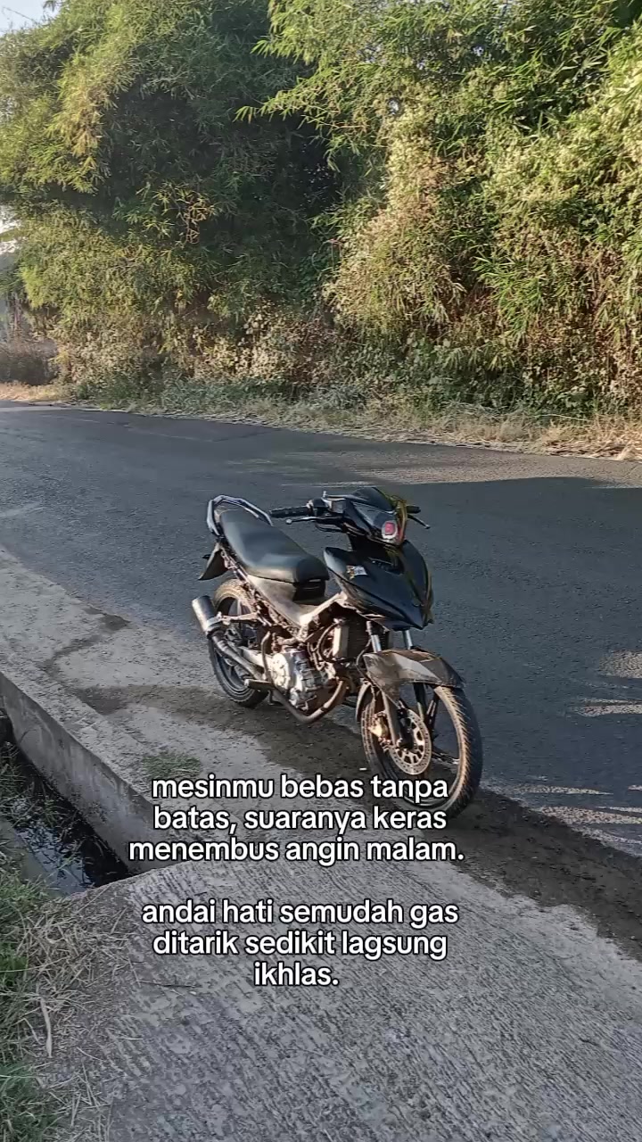 @MX gayor