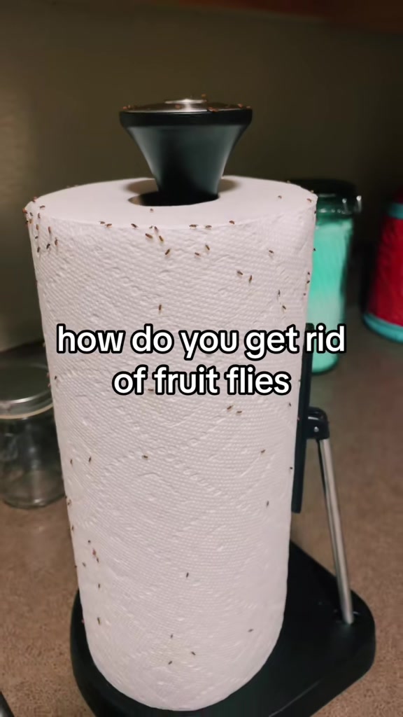 @Gigifromhappytwn