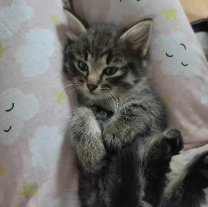 @Марсик😺💖