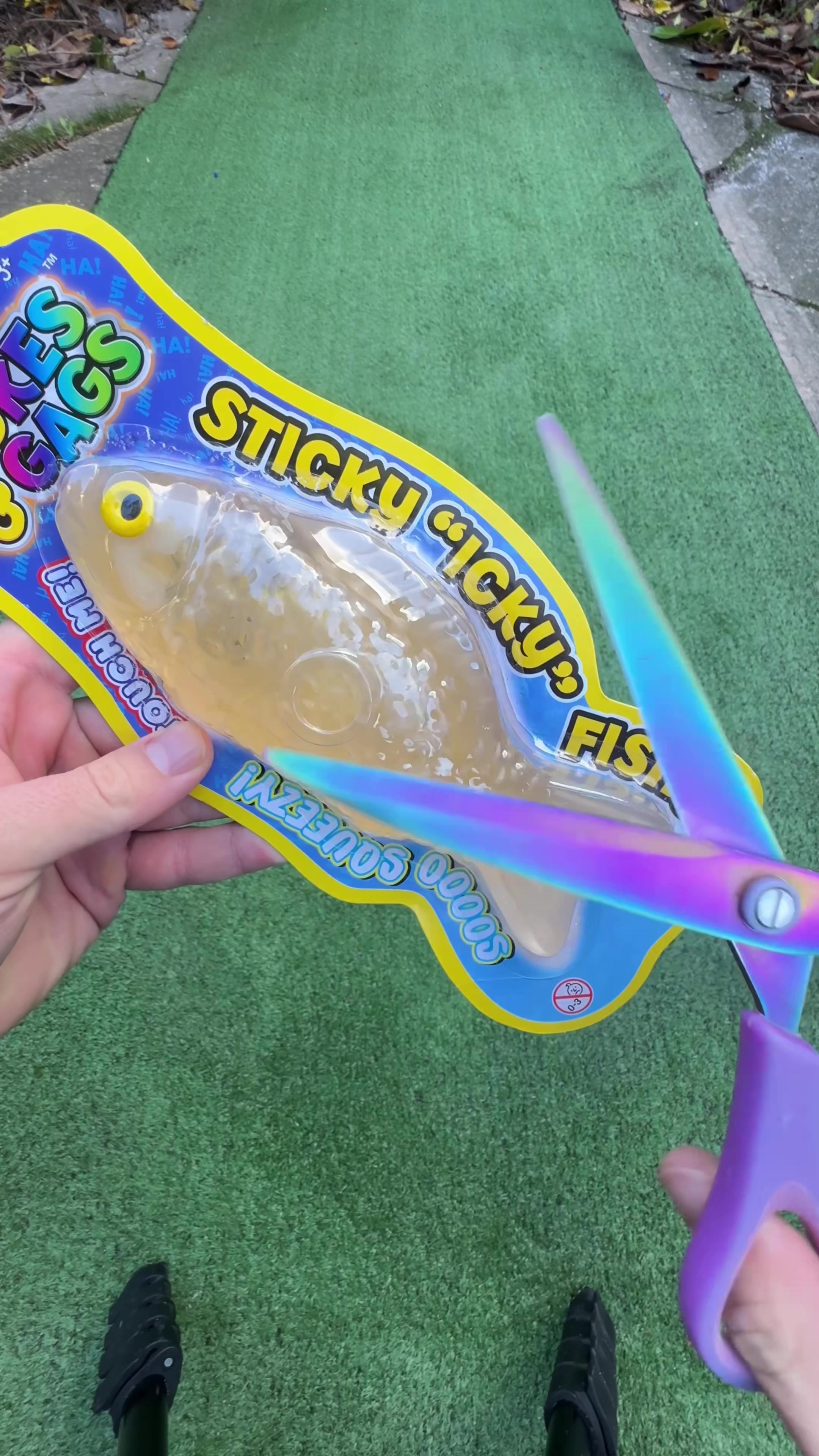 @SHARK ASMR 🦈