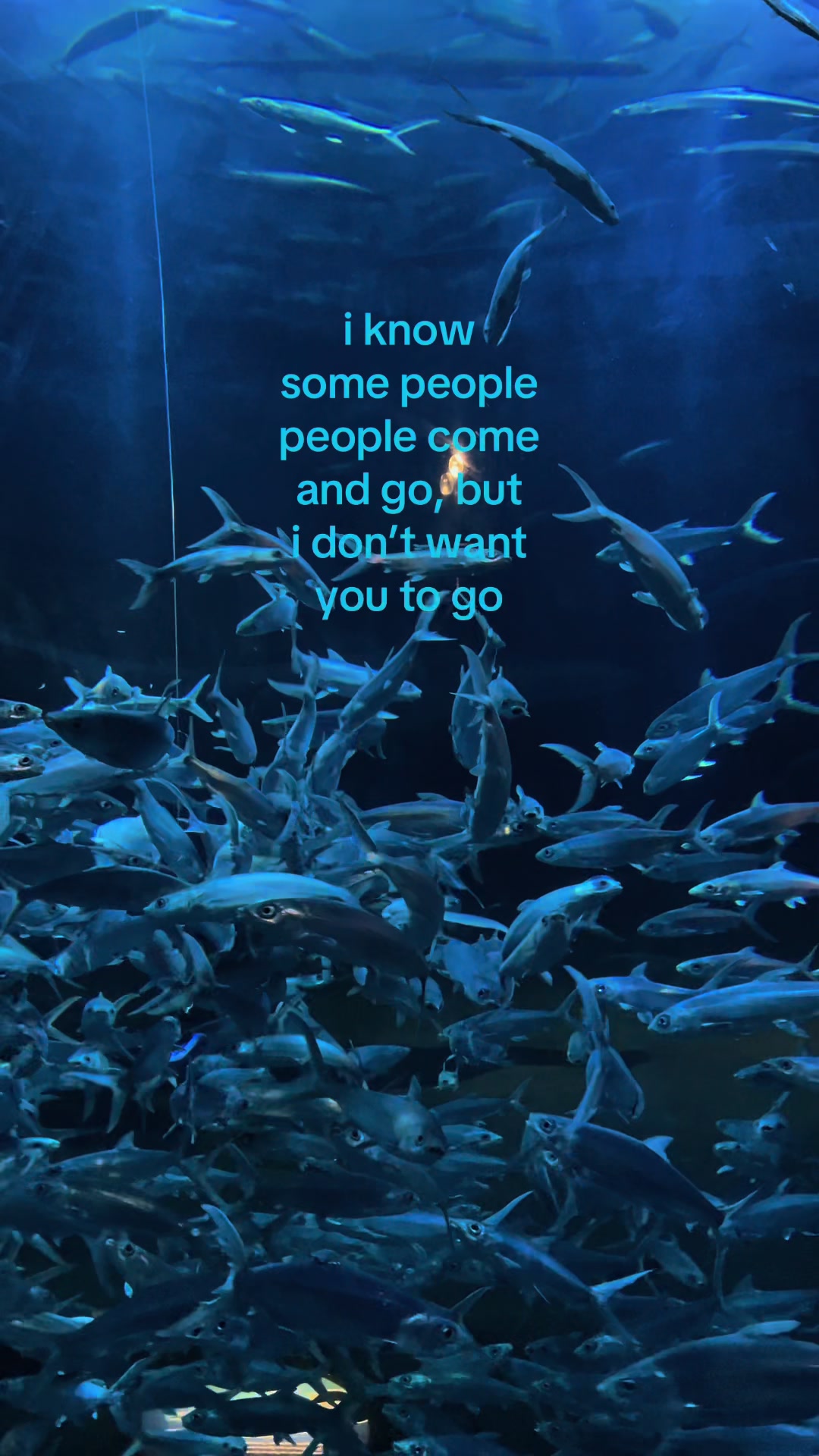 @ 