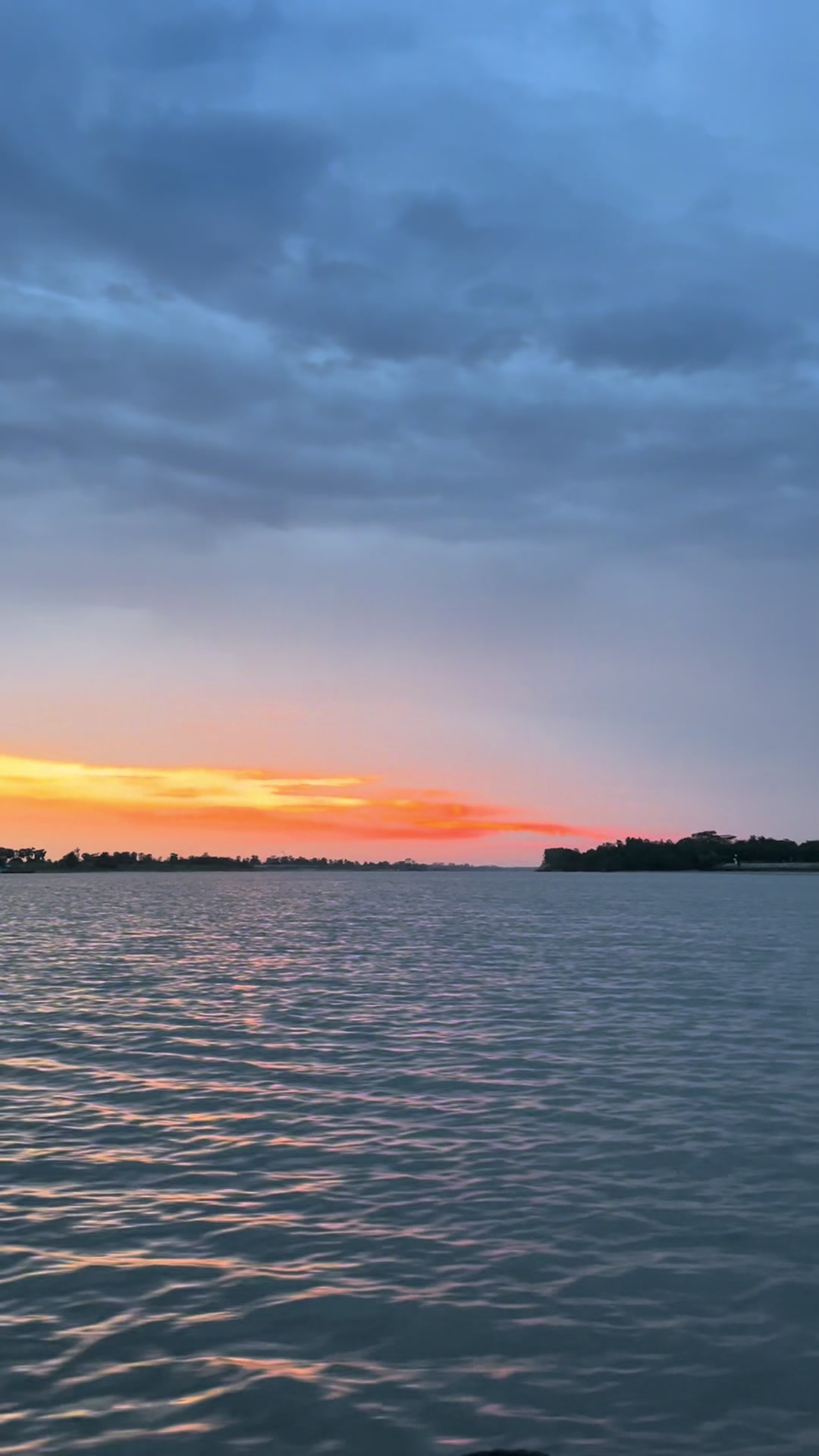 @মোহনা 🦋